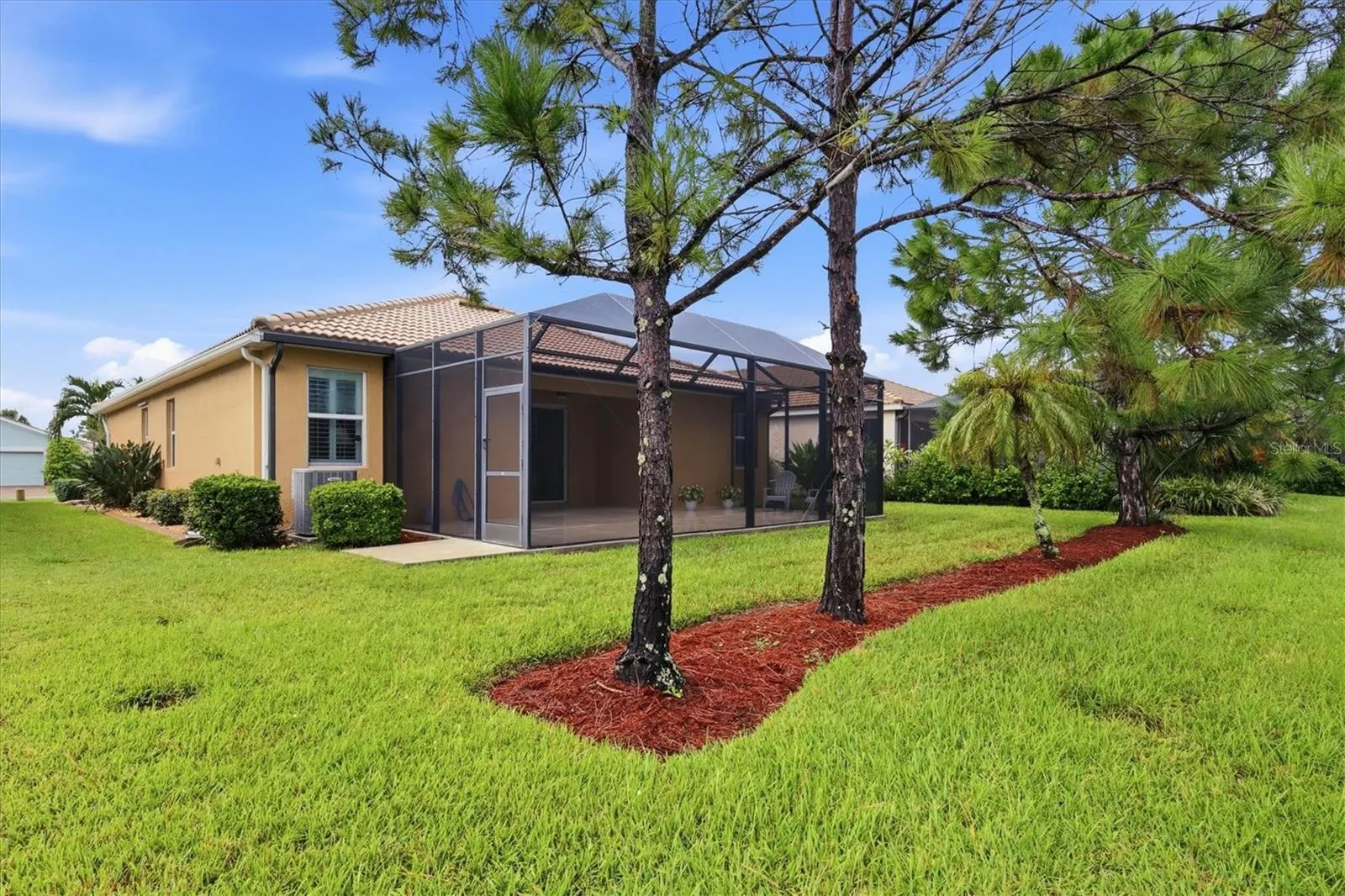 11696 SPOTTED MARGAY AVE