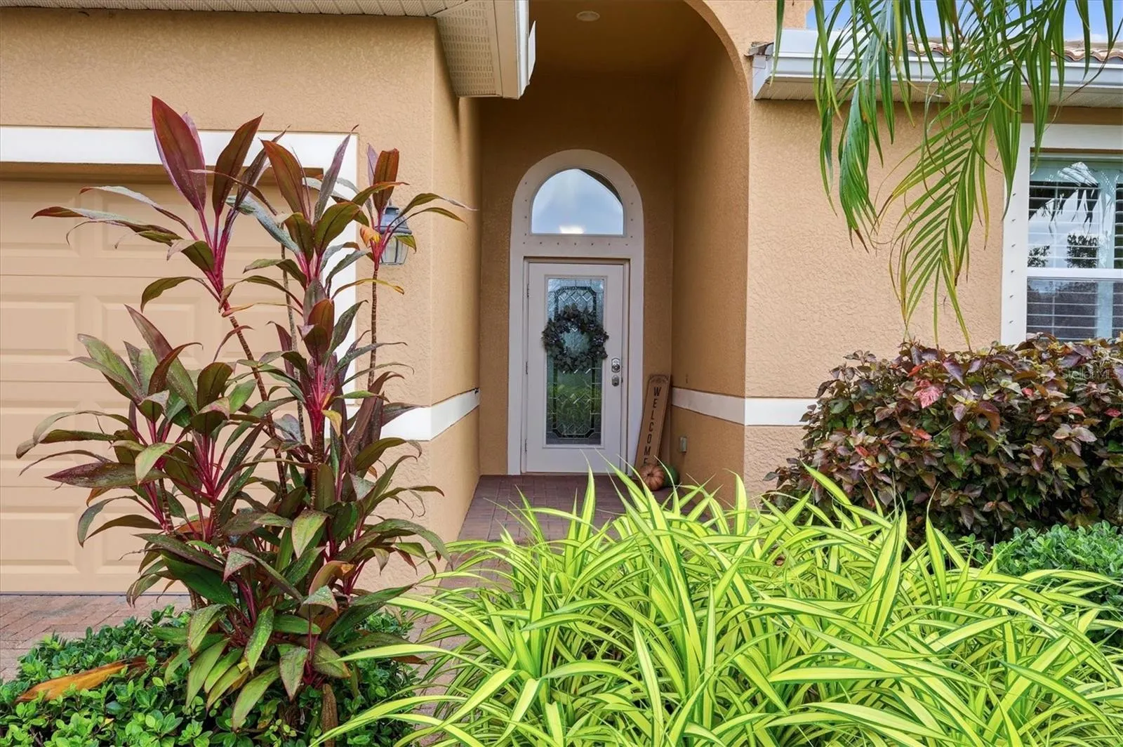 11696 SPOTTED MARGAY AVE