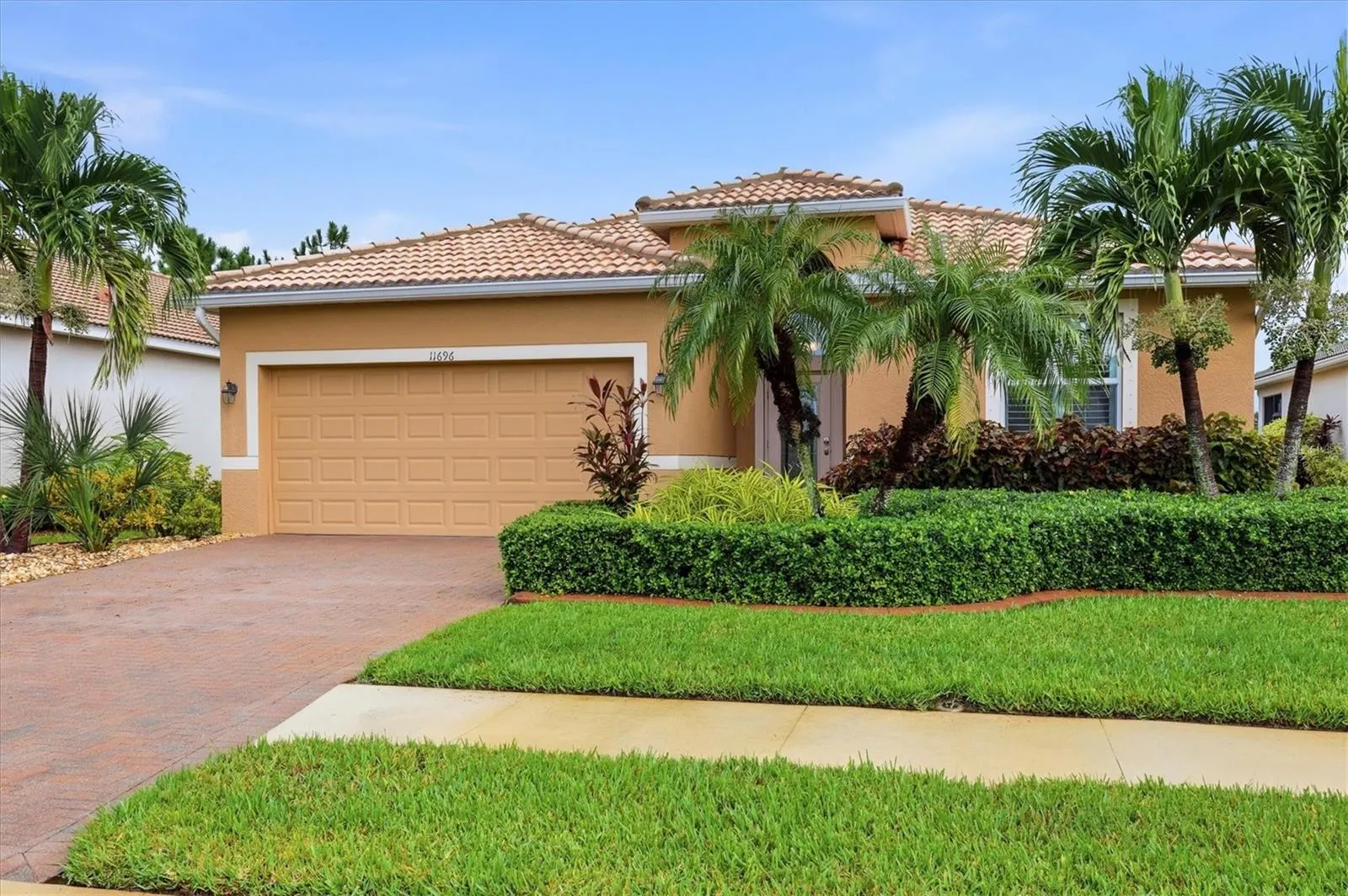 11696 SPOTTED MARGAY AVE