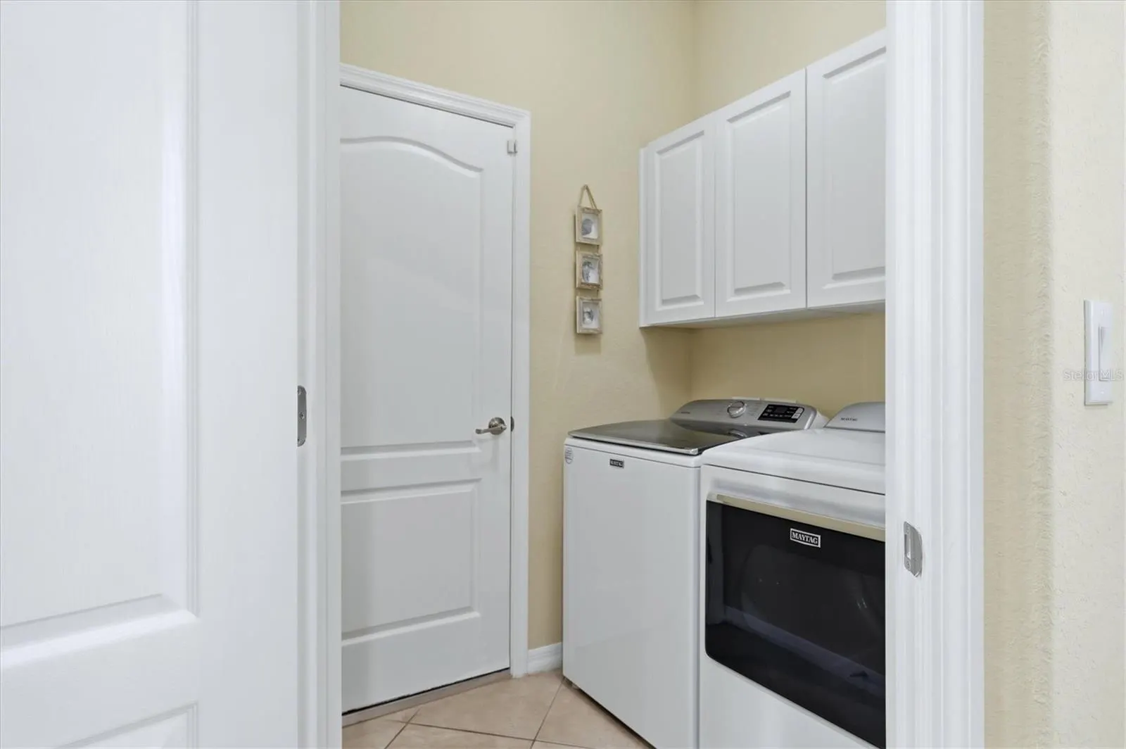 11696 SPOTTED MARGAY AVE