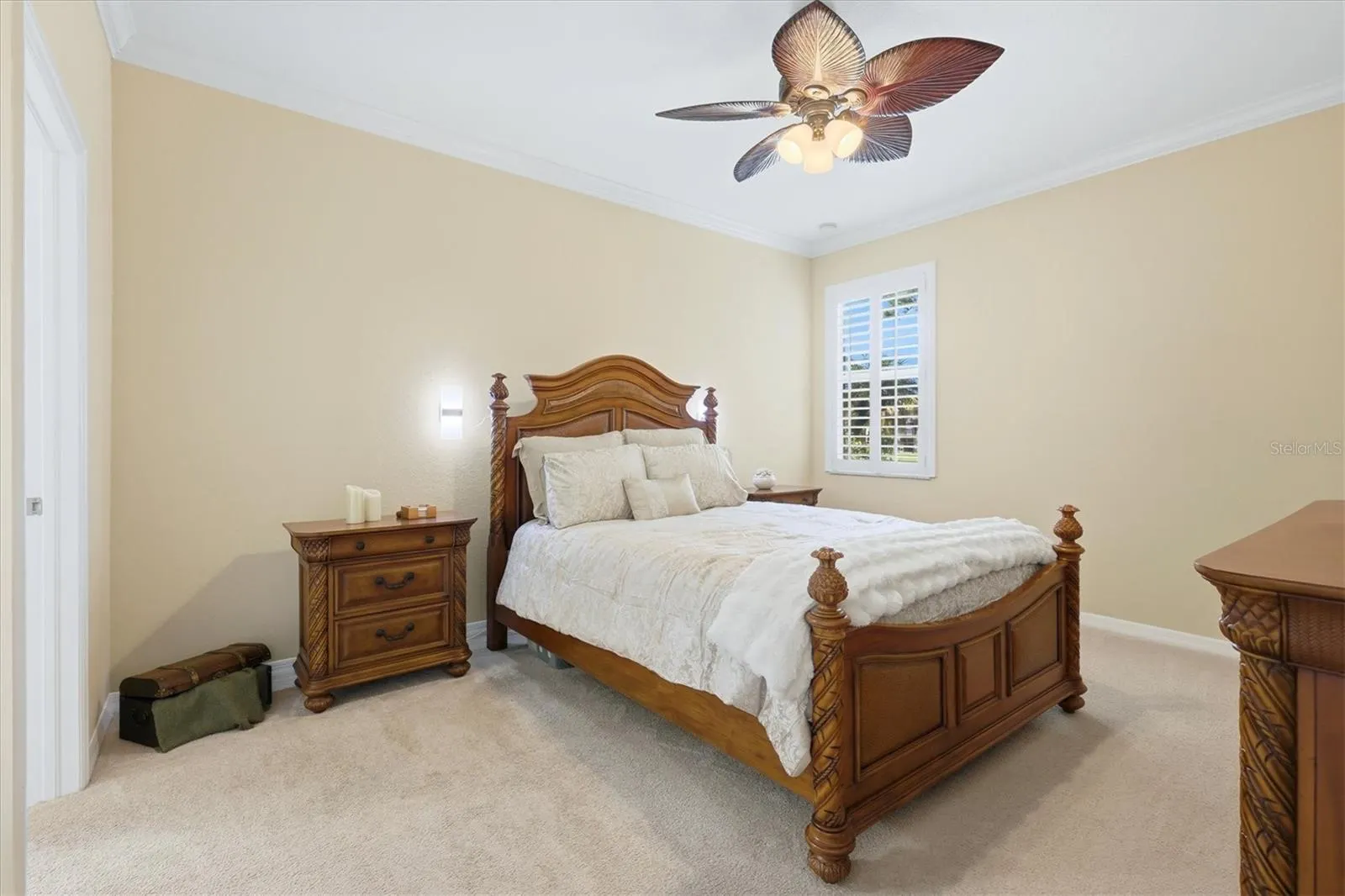 11696 SPOTTED MARGAY AVE