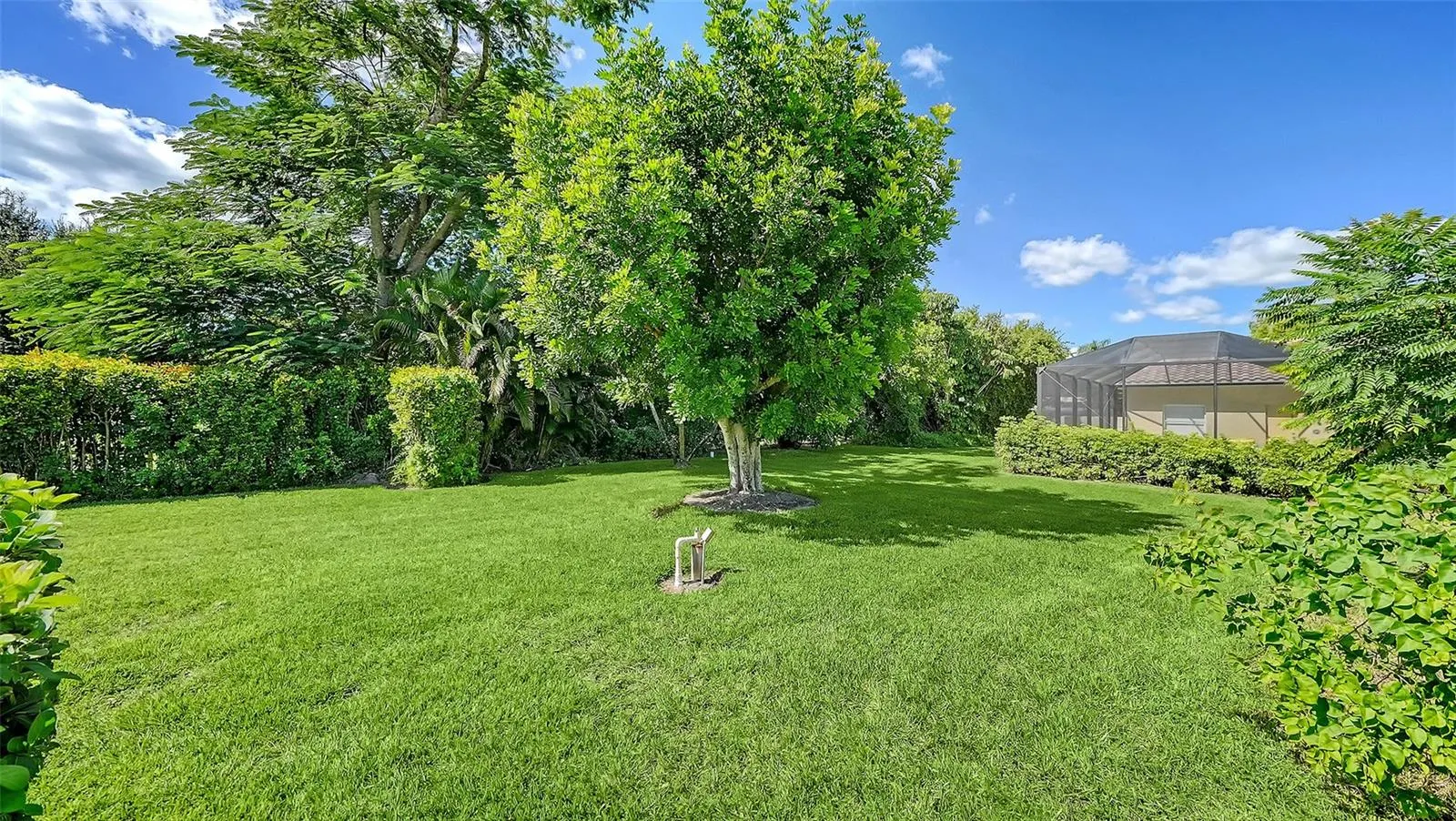 1568 VERMEER DR