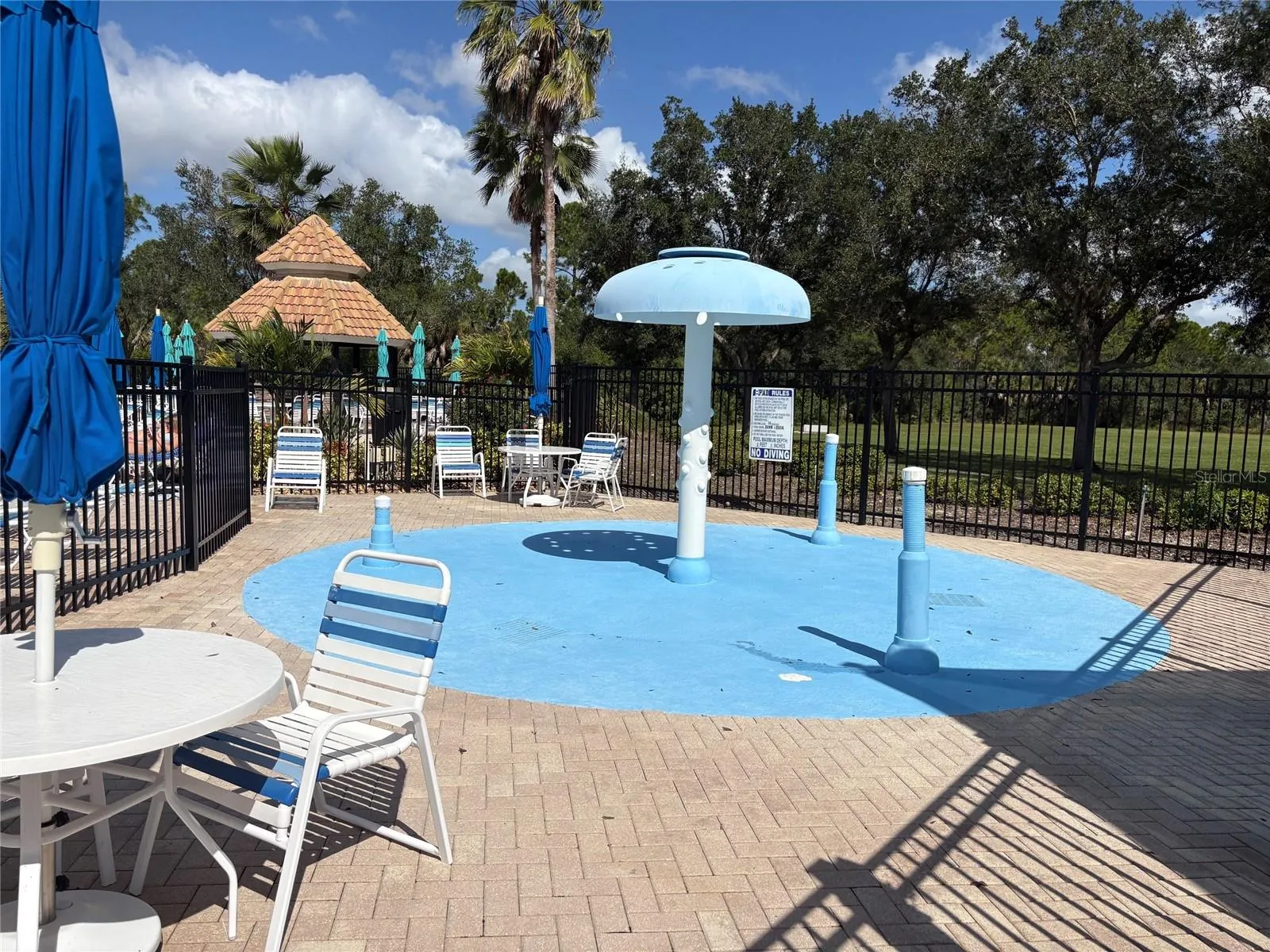 2216 WEAVER BIRD LN