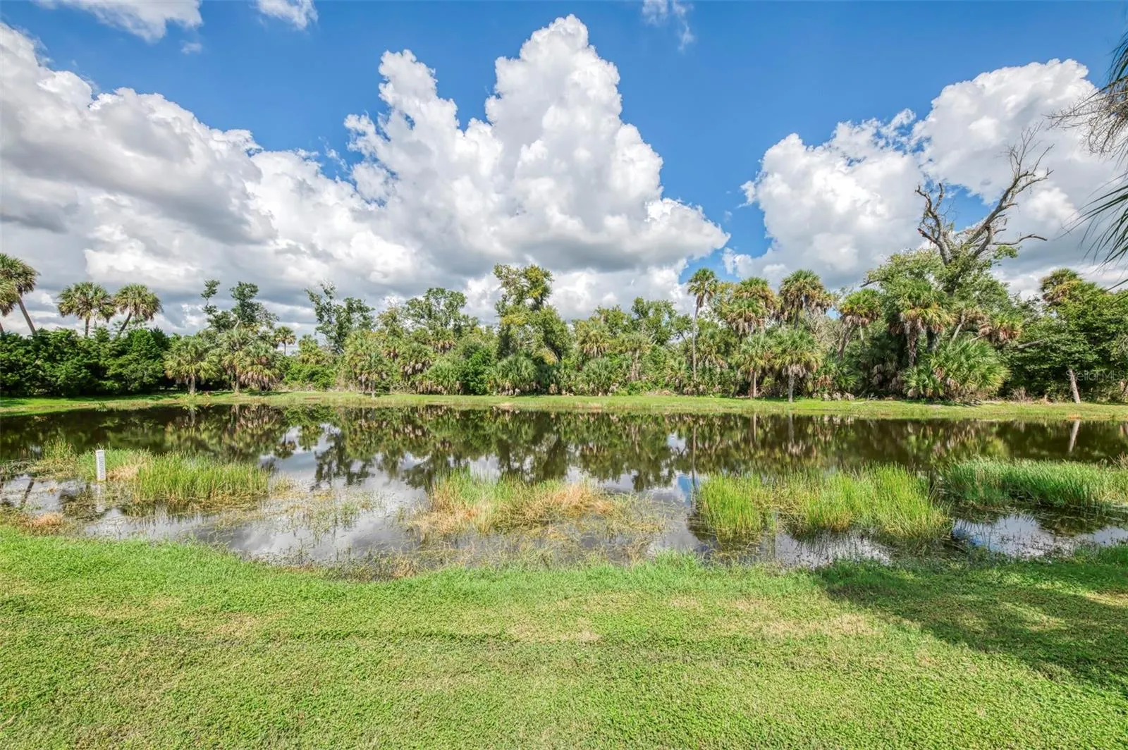 12404 PALATKA DR