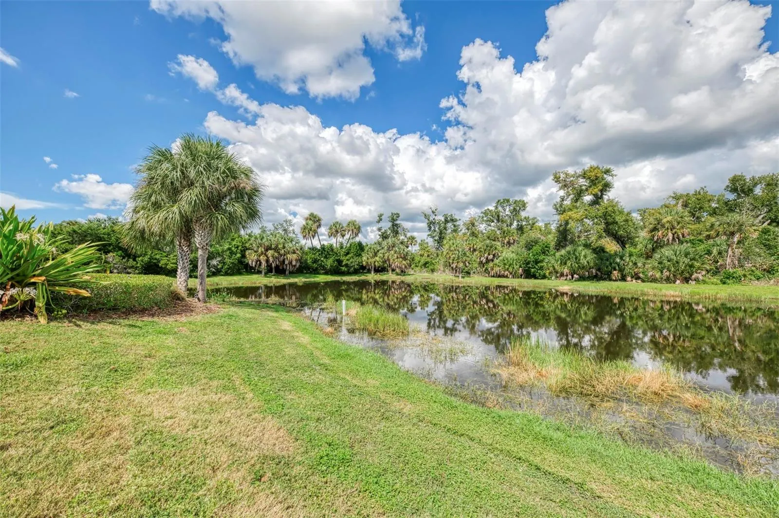 12404 PALATKA DR