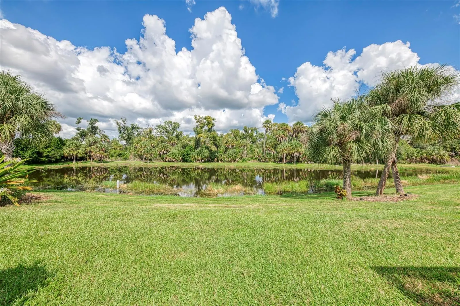 12404 PALATKA DR