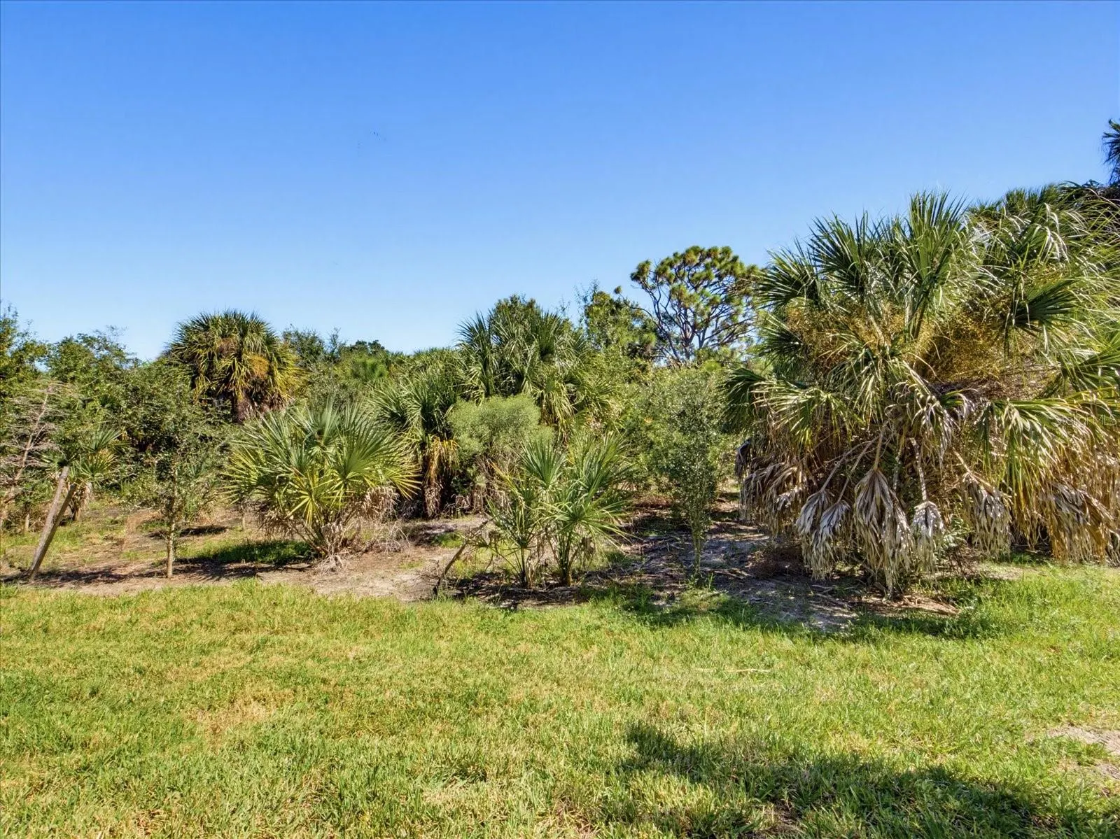 25912 BIMINI SANDS CT