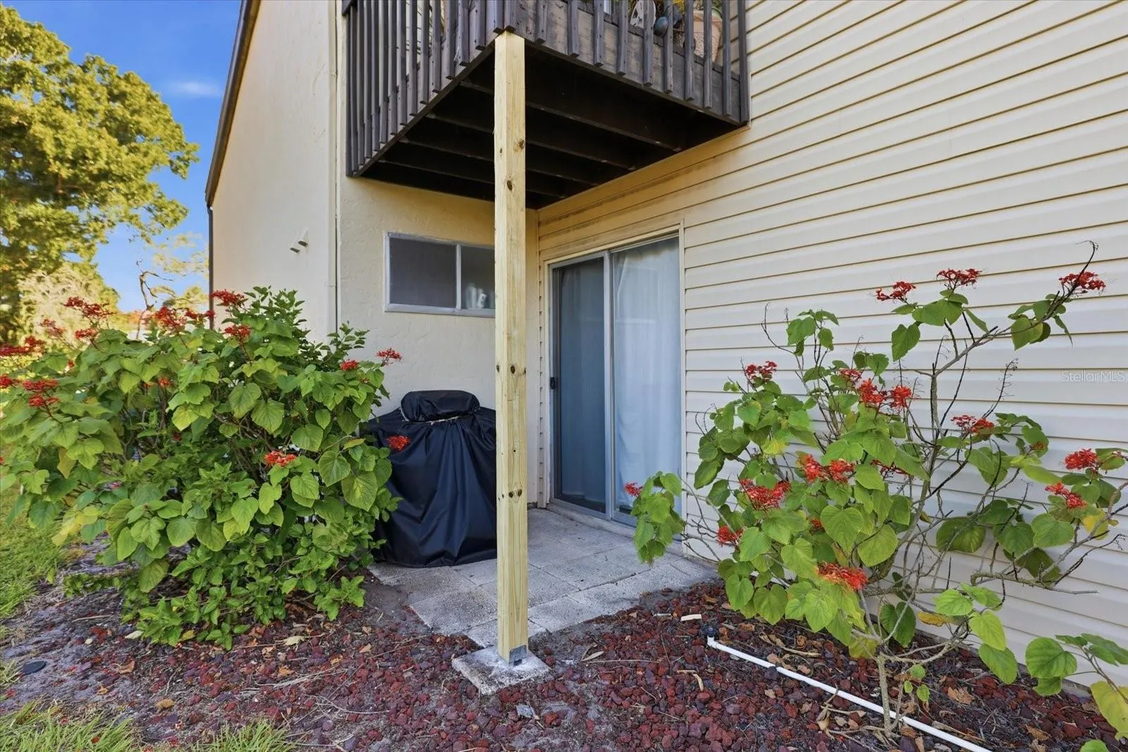 644 WHITE PINE TREE RD #43 #43