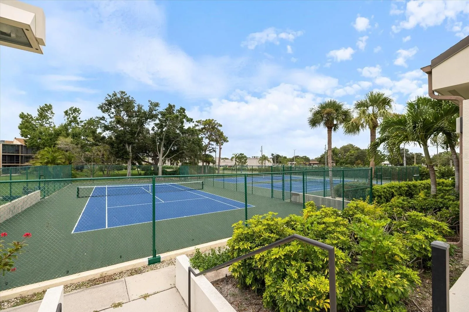 644 WHITE PINE TREE RD #43 #43