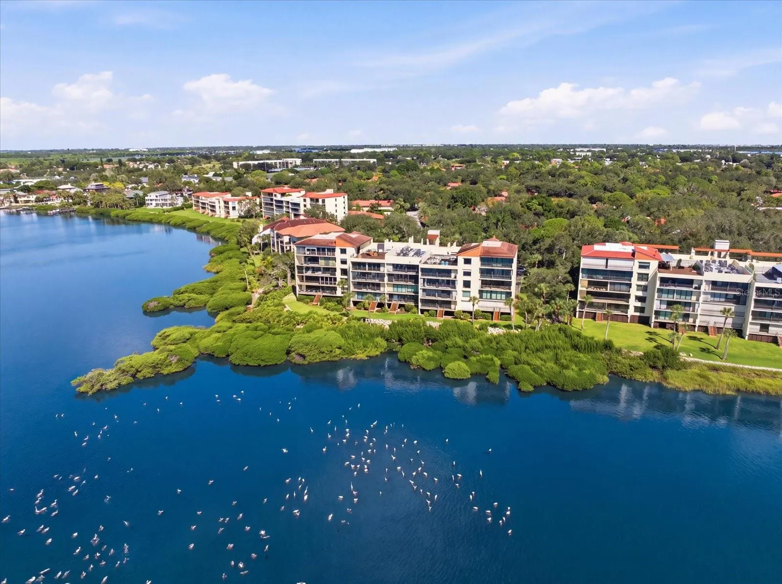 6460 MOURNING DOVE DR #305 #305