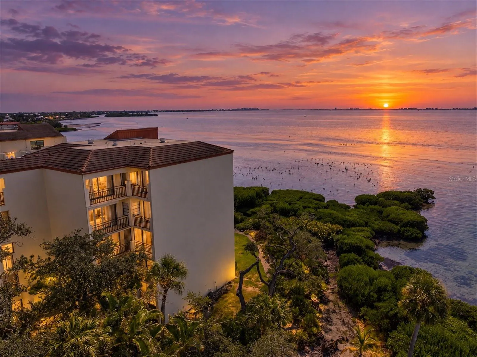 6460 MOURNING DOVE DR #305 #305