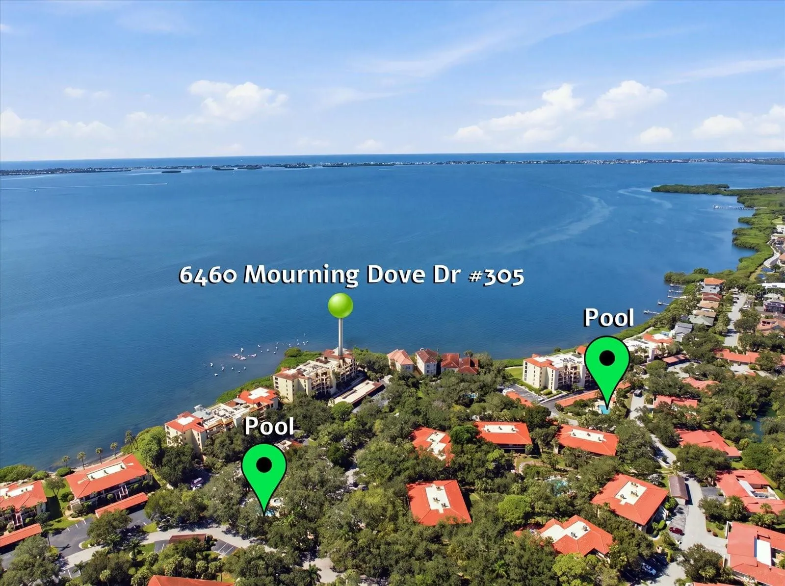 6460 MOURNING DOVE DR #305 #305