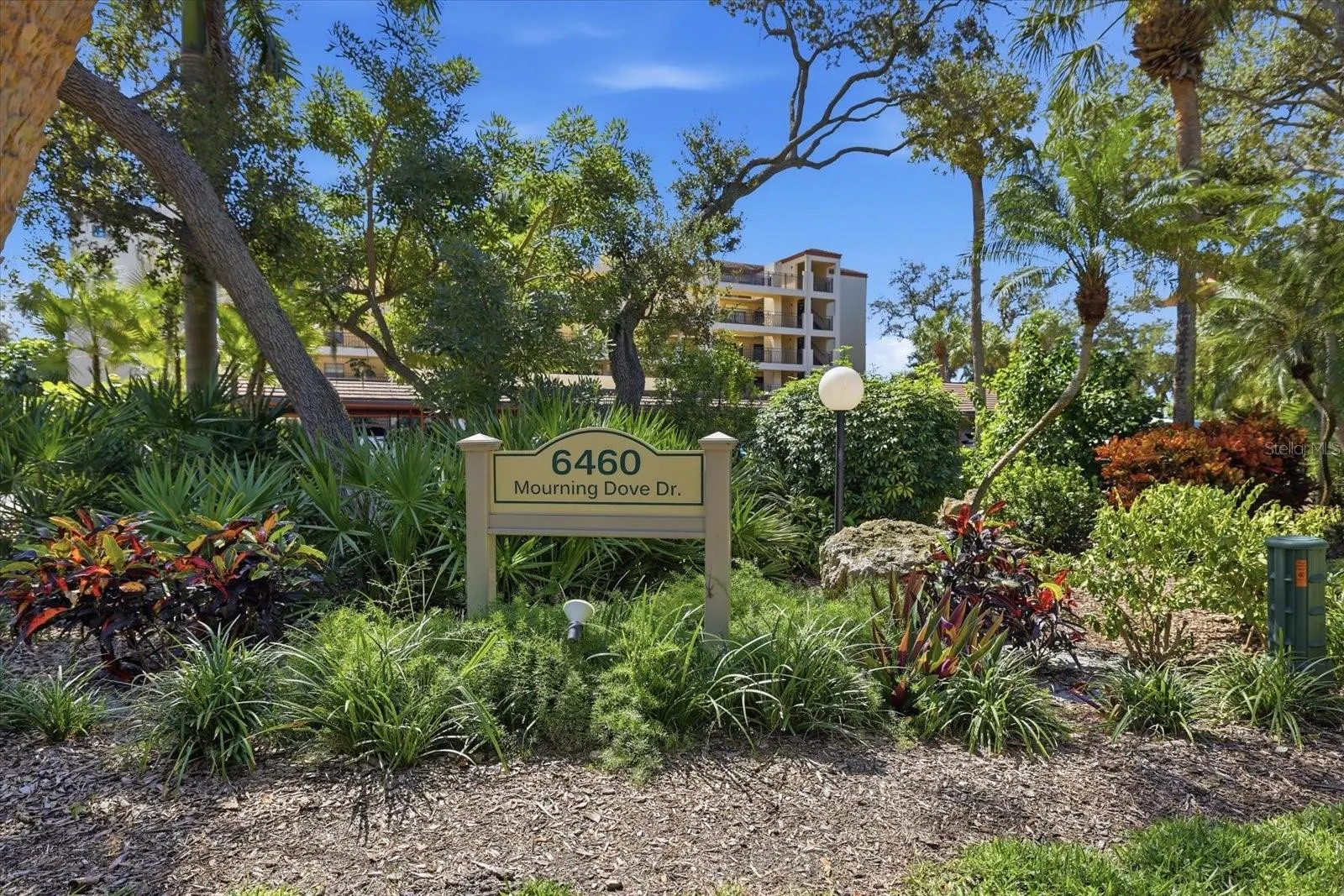 6460 MOURNING DOVE DR #305 #305