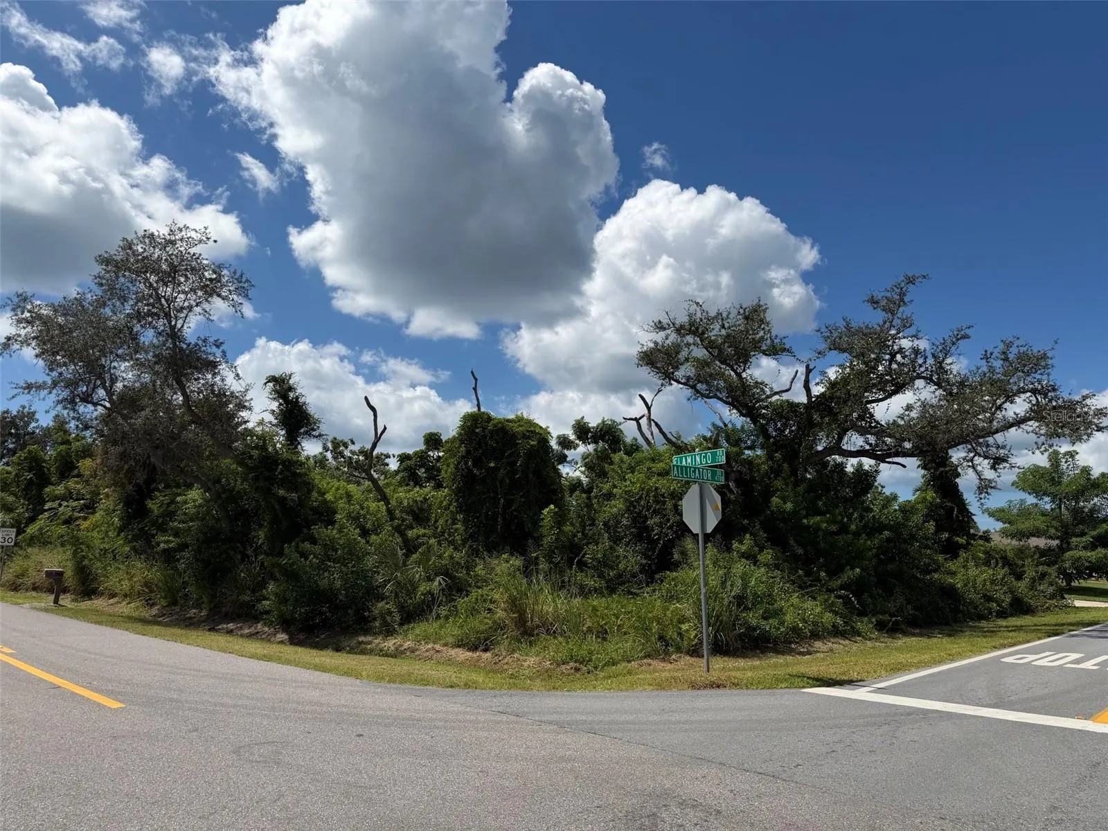 RAINBOW RD