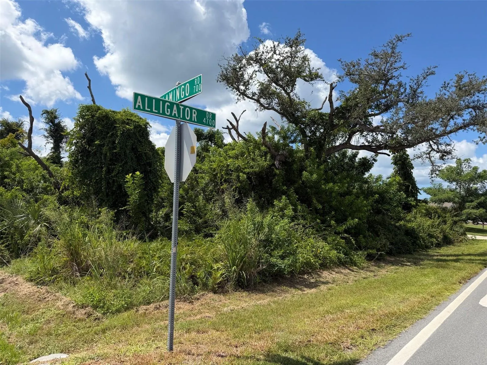 RAINBOW RD