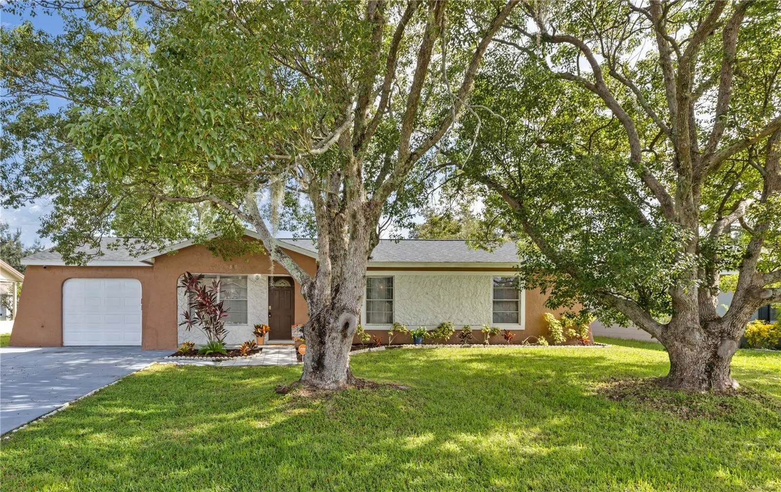819 NELSON DR