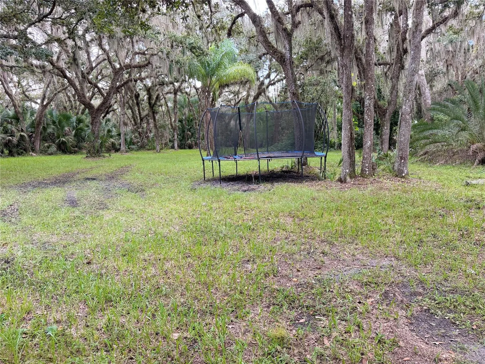 525 OLD DIXIE LN