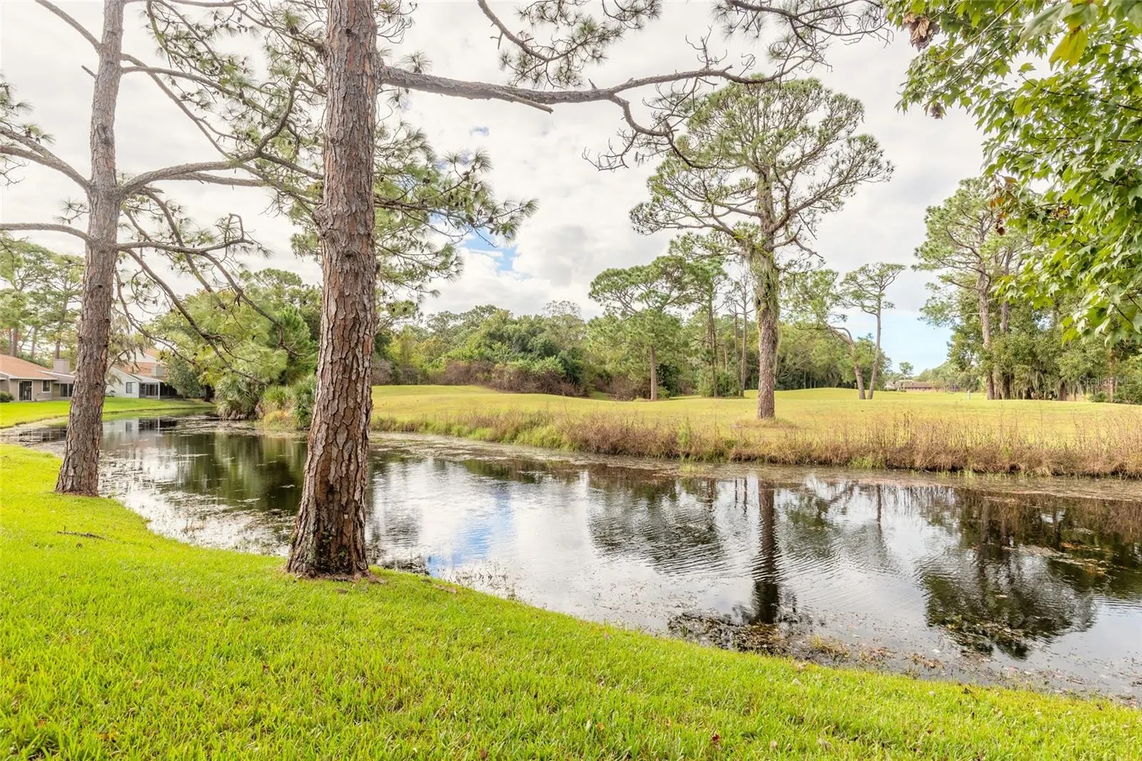440 BROWN PELICAN DR