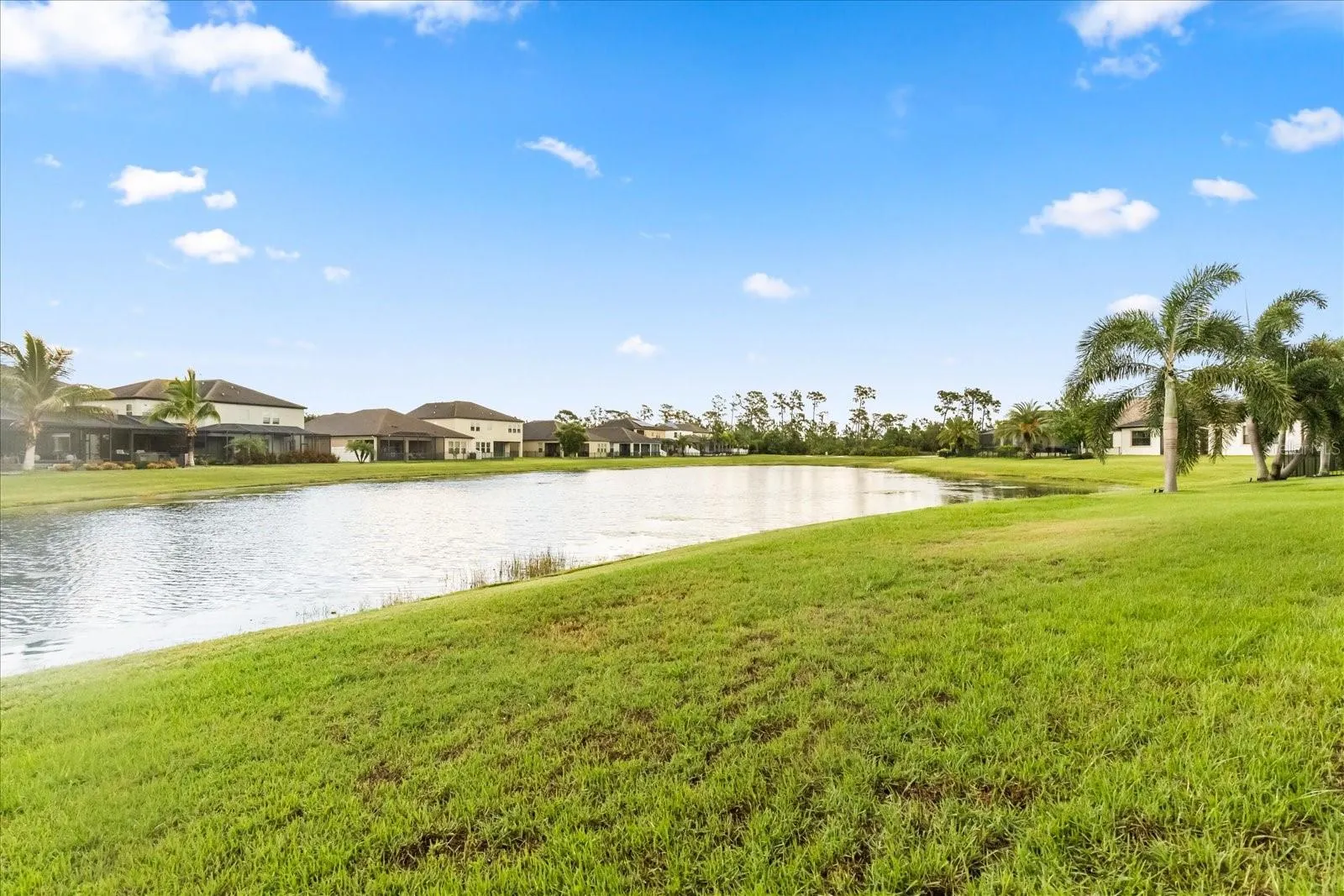 11807 CROSS VINE DR