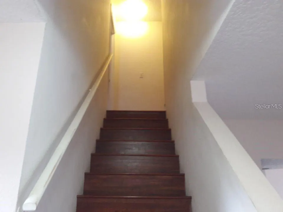 916 WASHINGTON PALM LOOP
