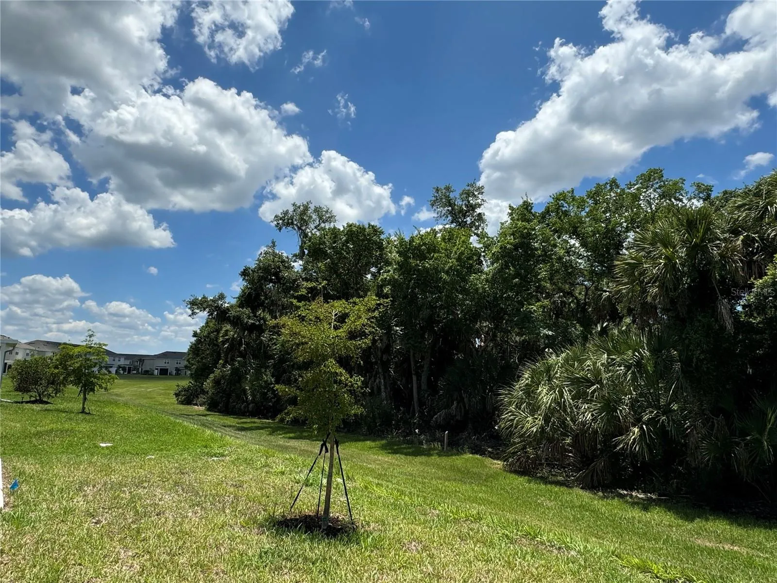 8477 LUNAR SKYE ST