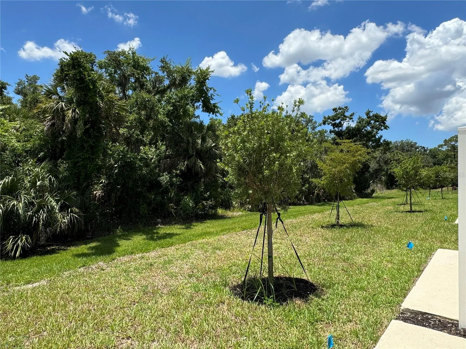 8477 LUNAR SKYE ST