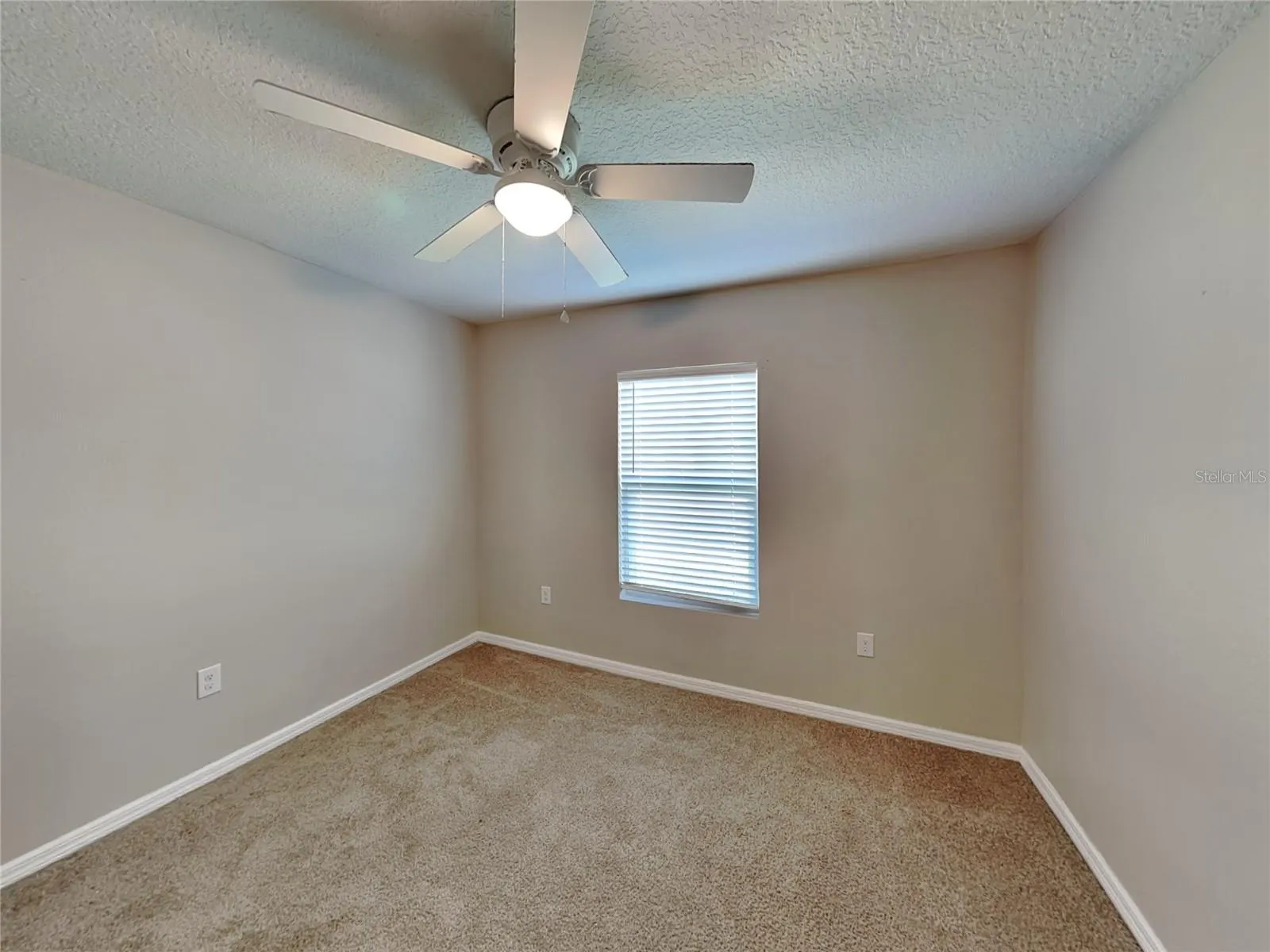 275 ELM CT