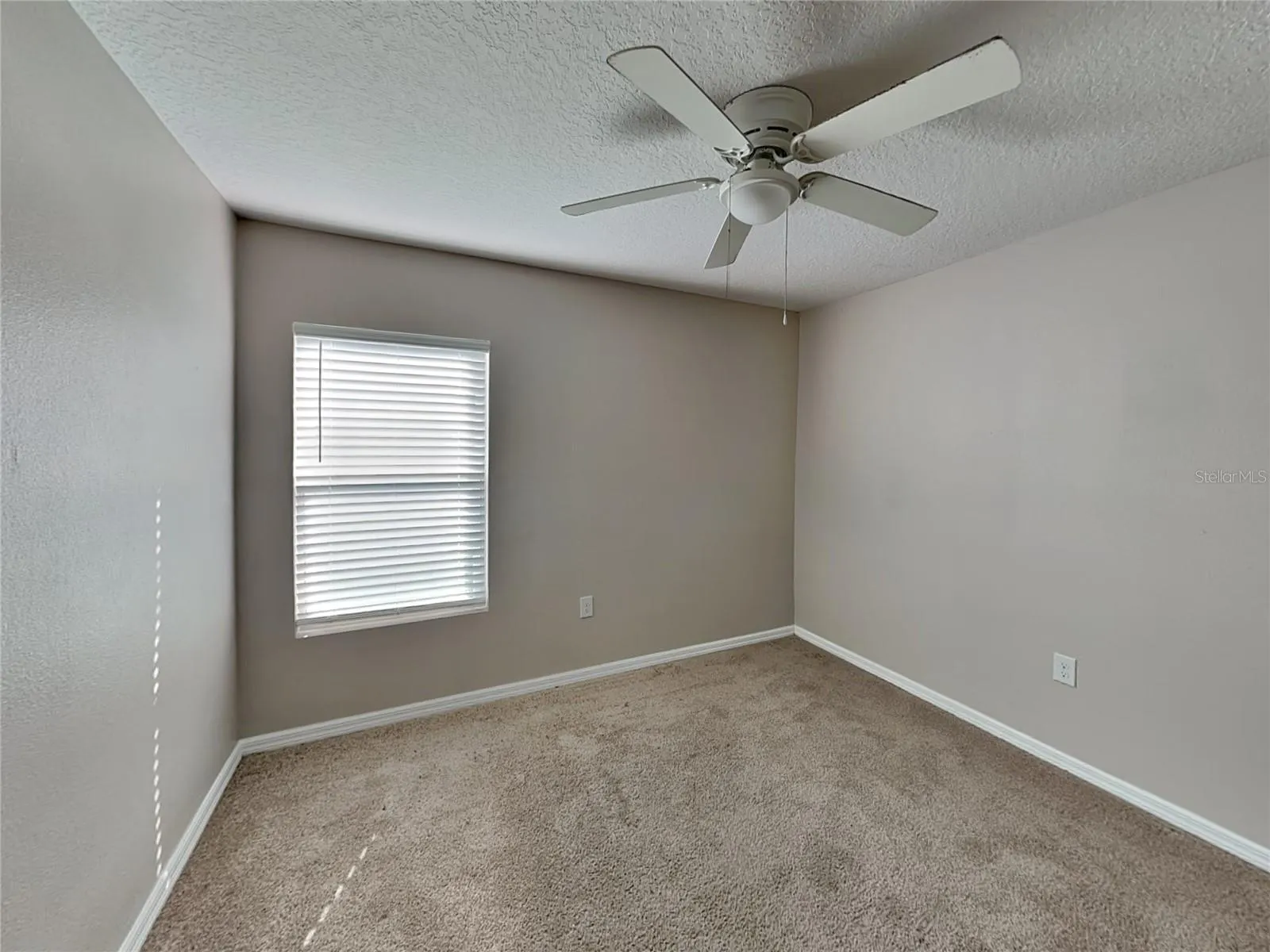 275 ELM CT