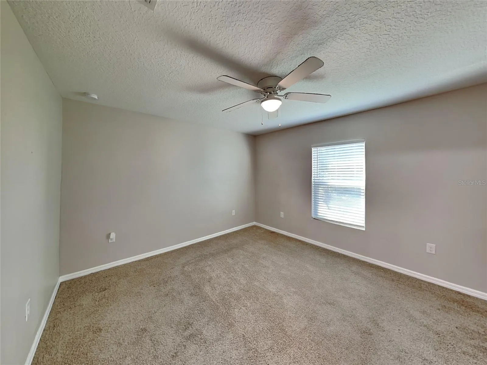275 ELM CT