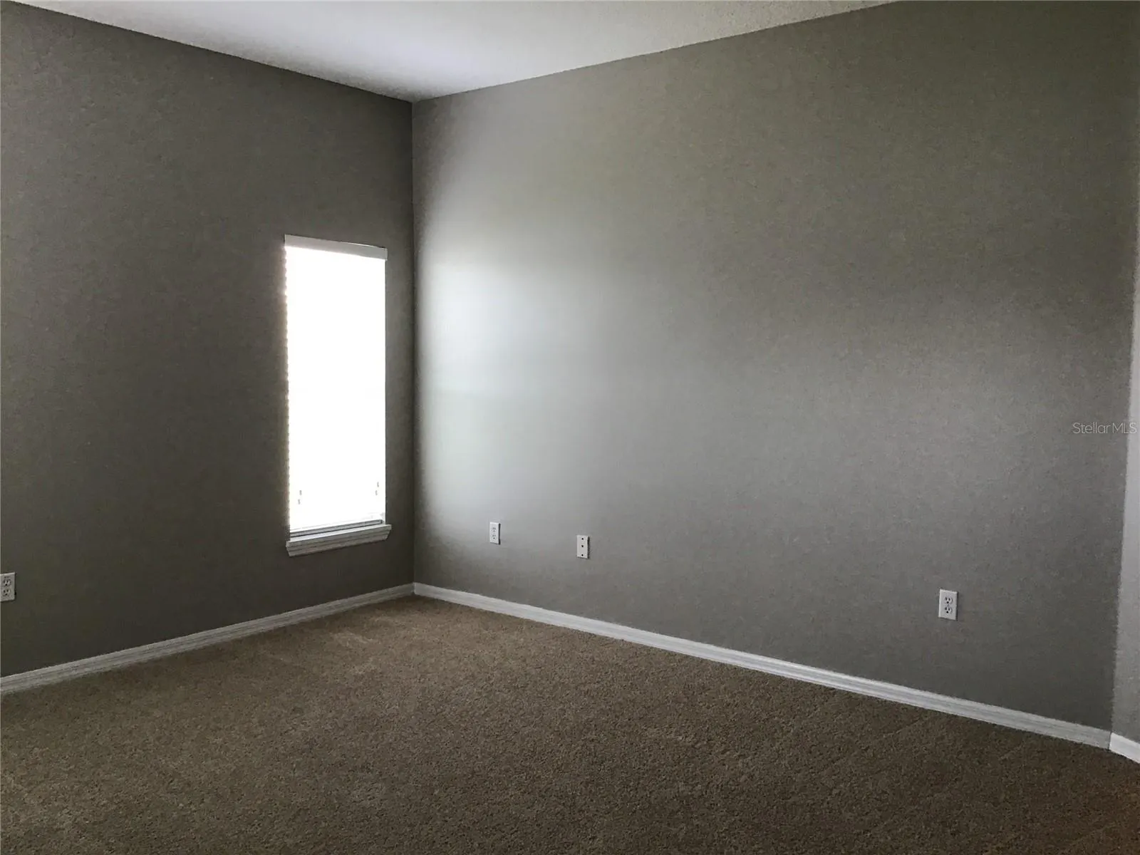 3897 WOOD THRUSH DR