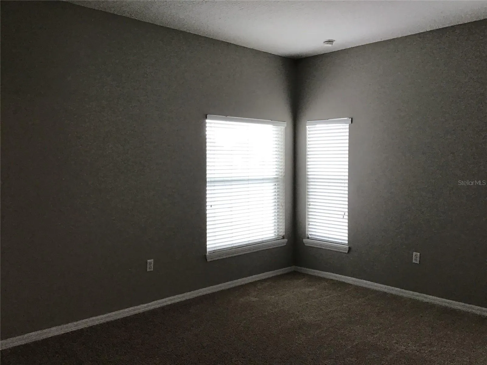 3897 WOOD THRUSH DR