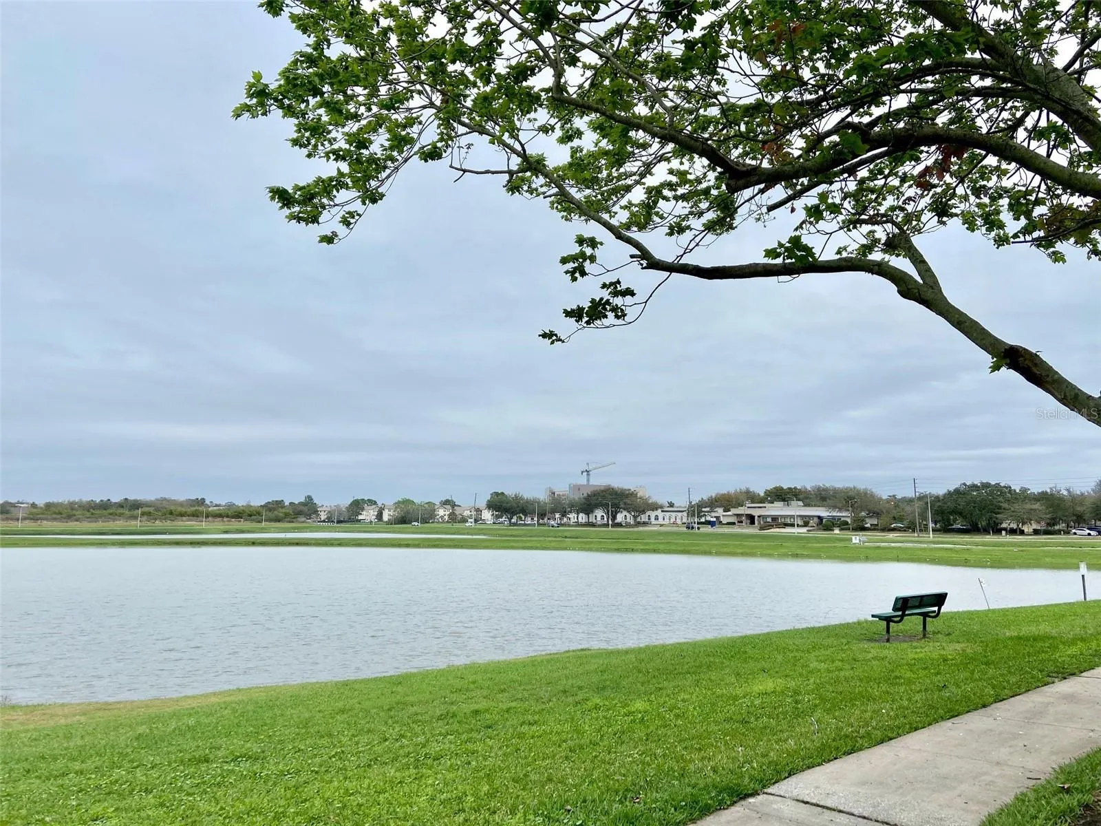 401 FOUNTAINHEAD CIR #151, #151
