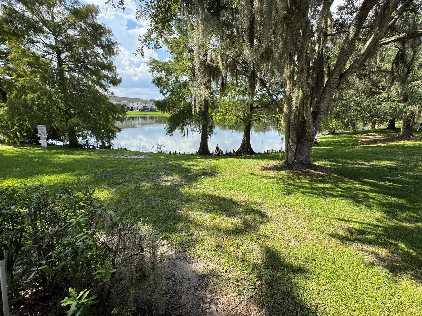 2251 CYPRESS KNEE LOOP