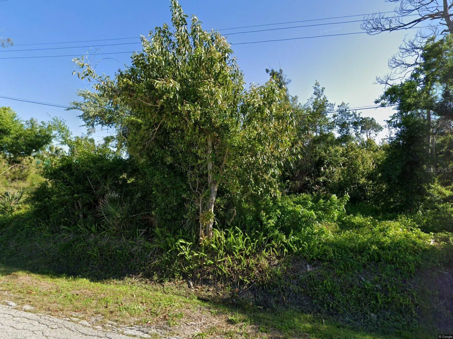259 W LANGSNER ST