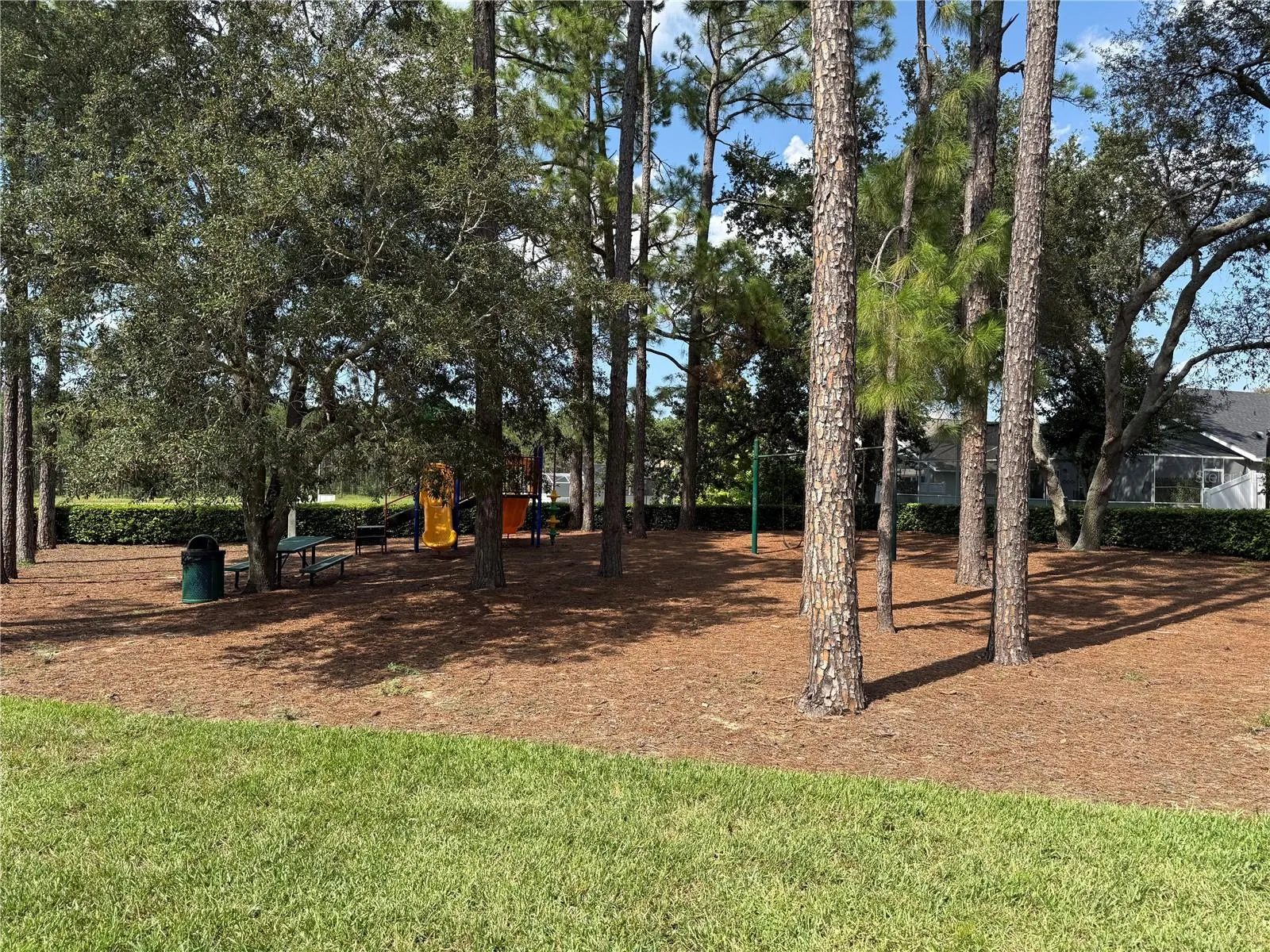 154 PINELEAF PASS