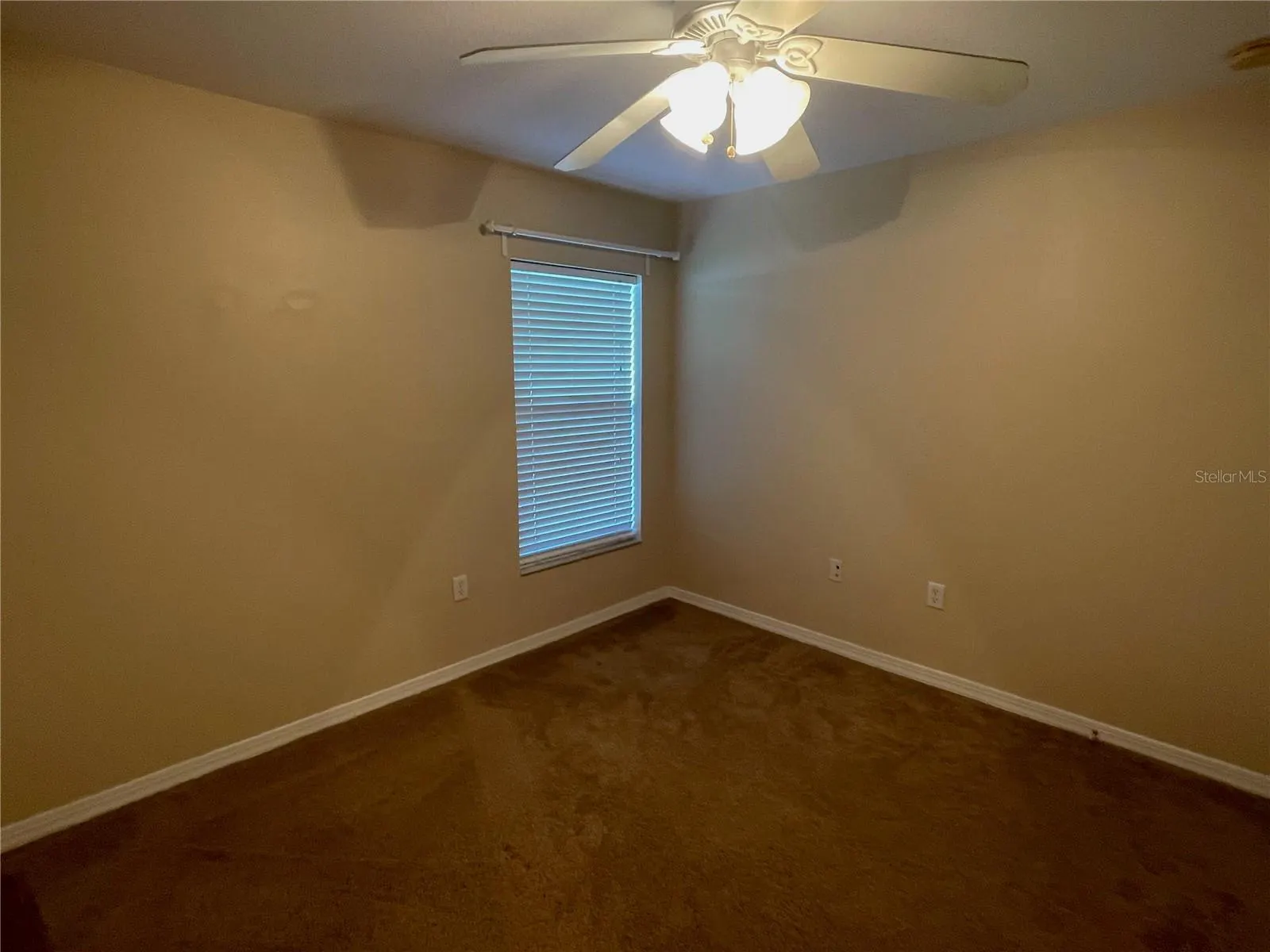 4207 CINNAMON FERN CT