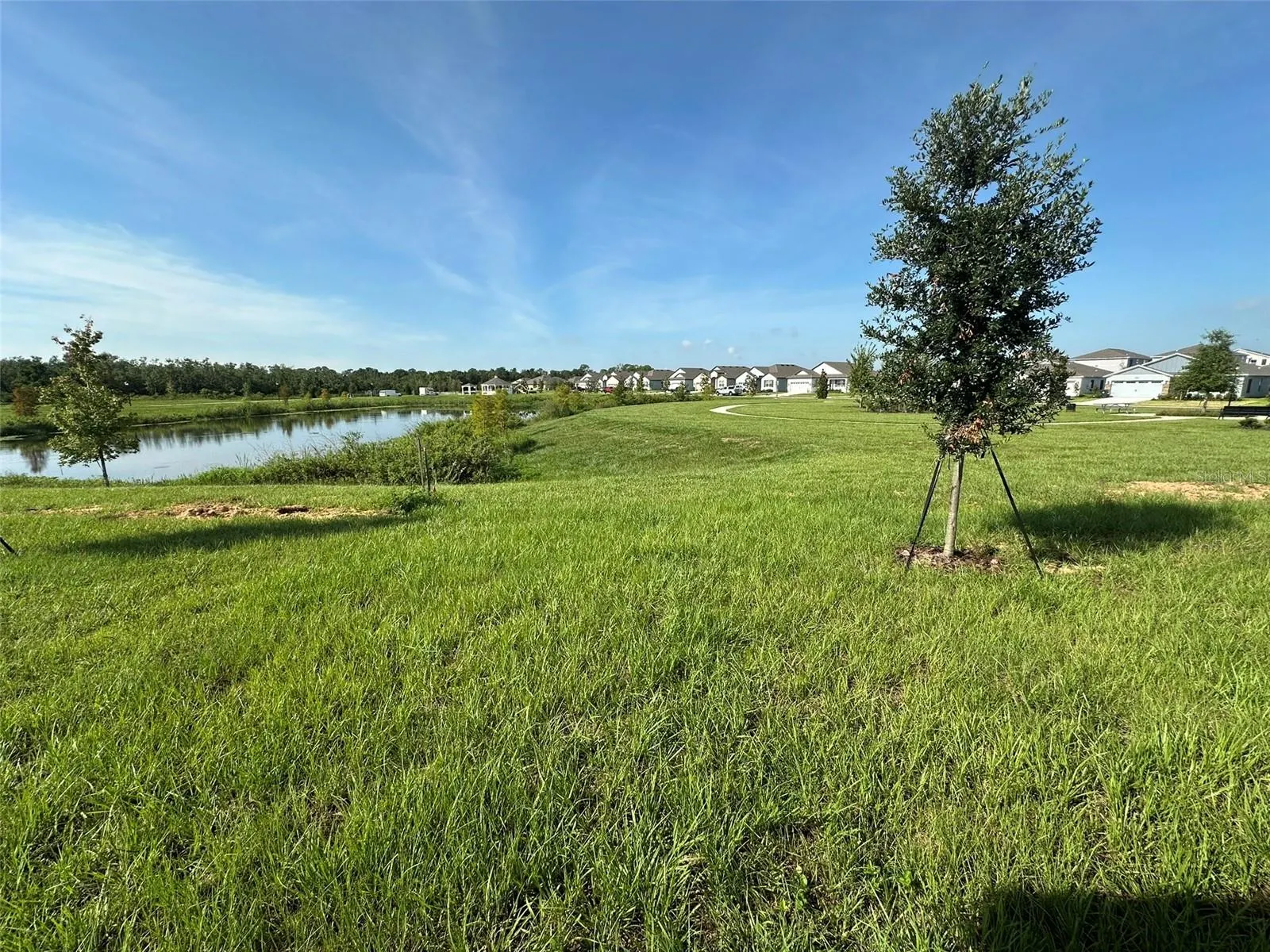 3489 CHINOTTO DR