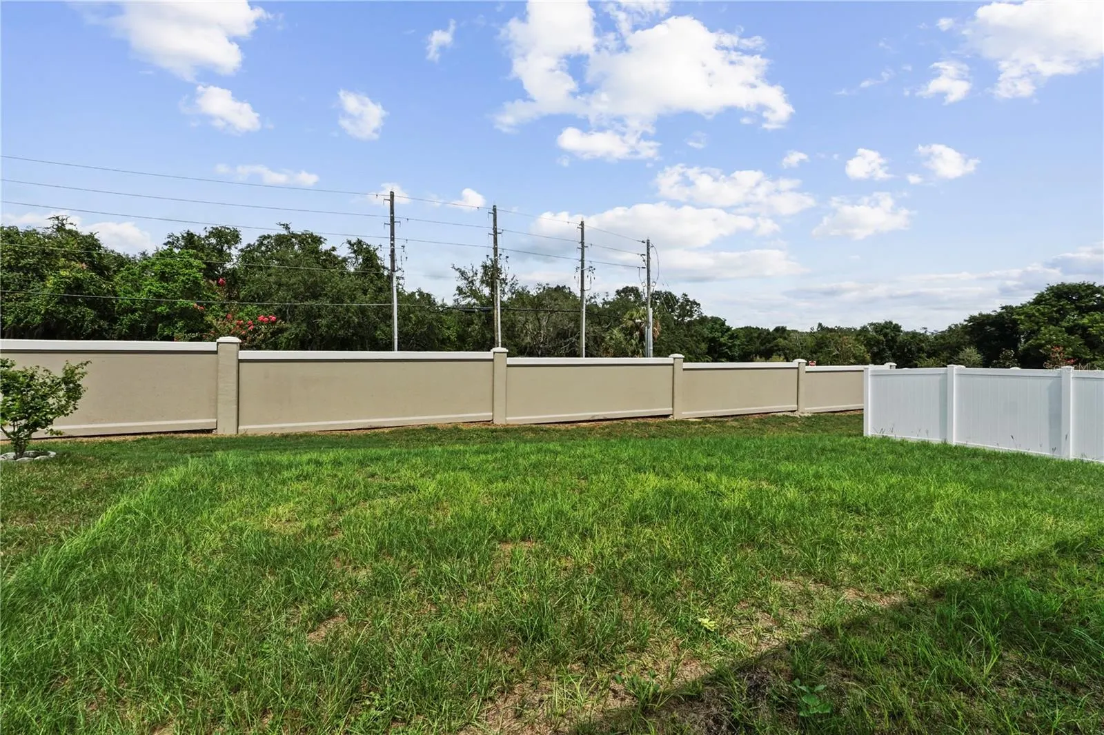 1017 MOUNTAIN FLOWER LN