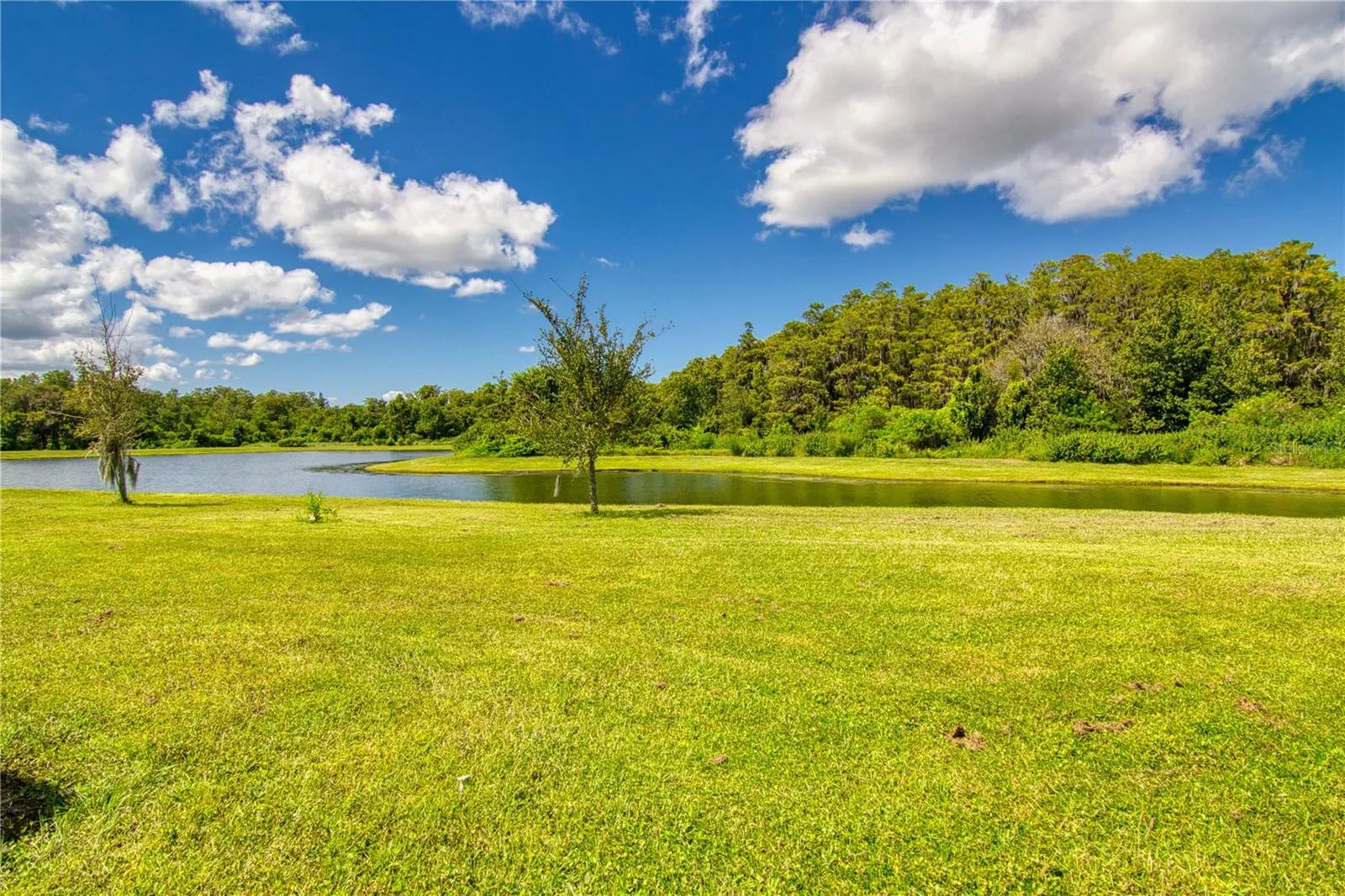 2950 FIELDWOOD CIRS