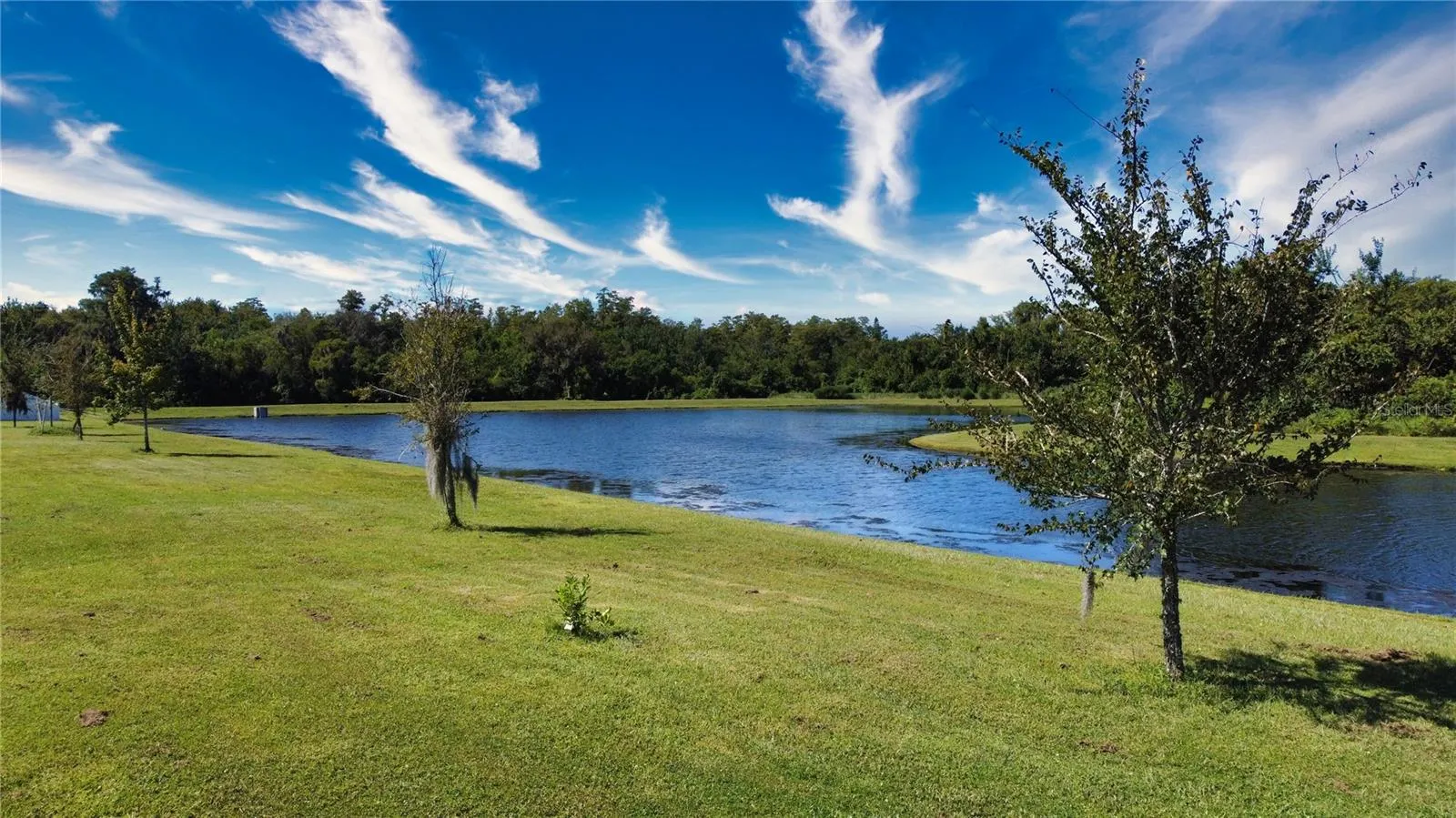 2950 FIELDWOOD CIRS