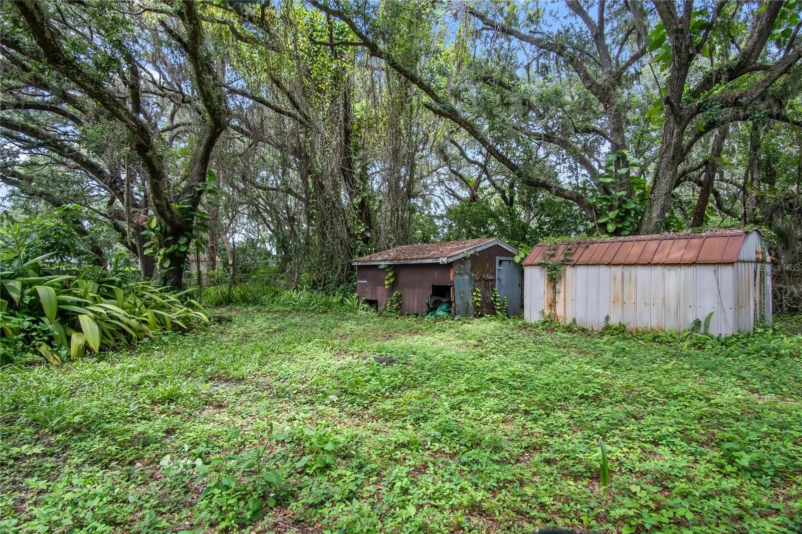 1124 S WIGGINS RD