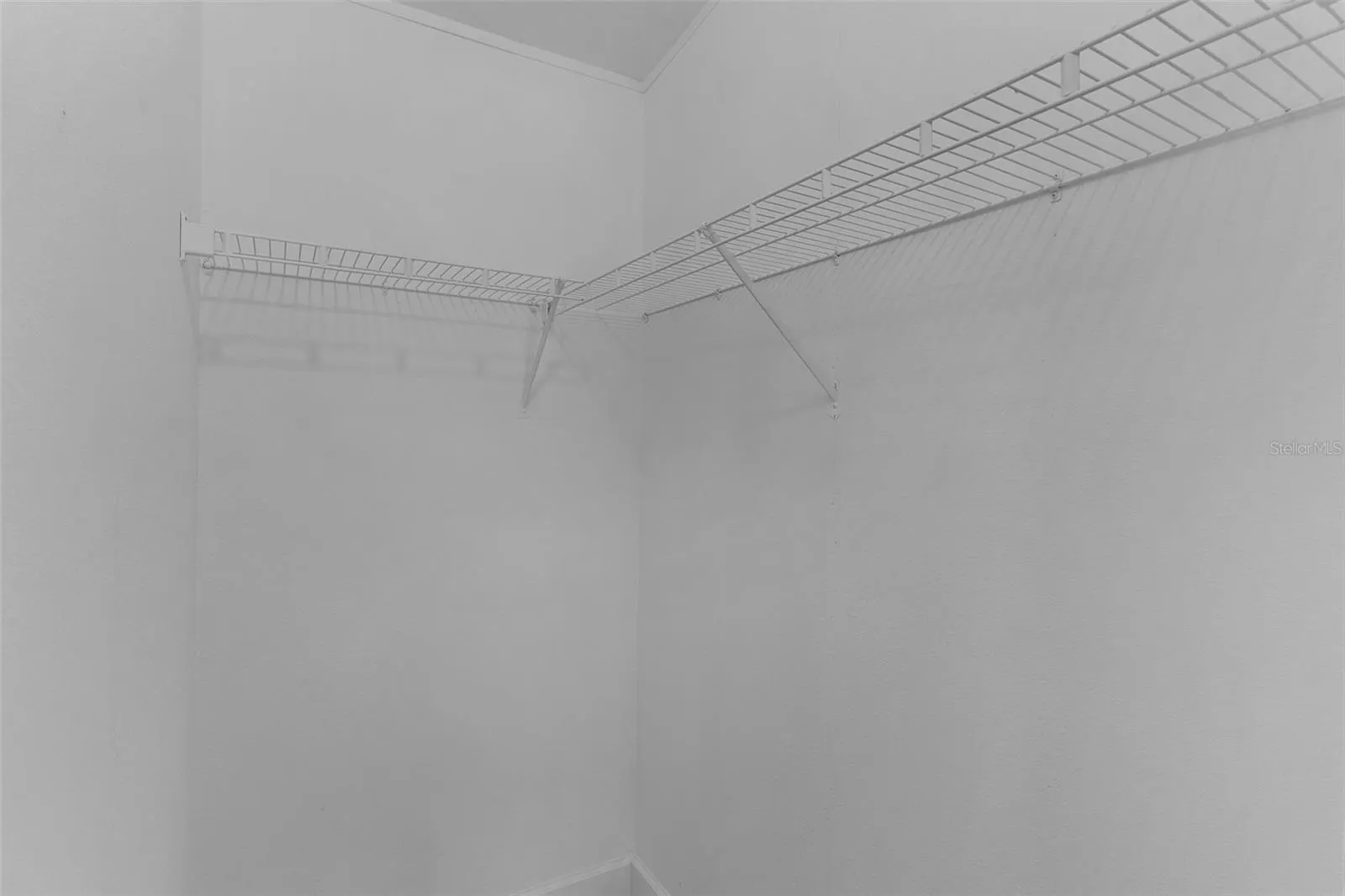8903 HAMMOCK LOOP