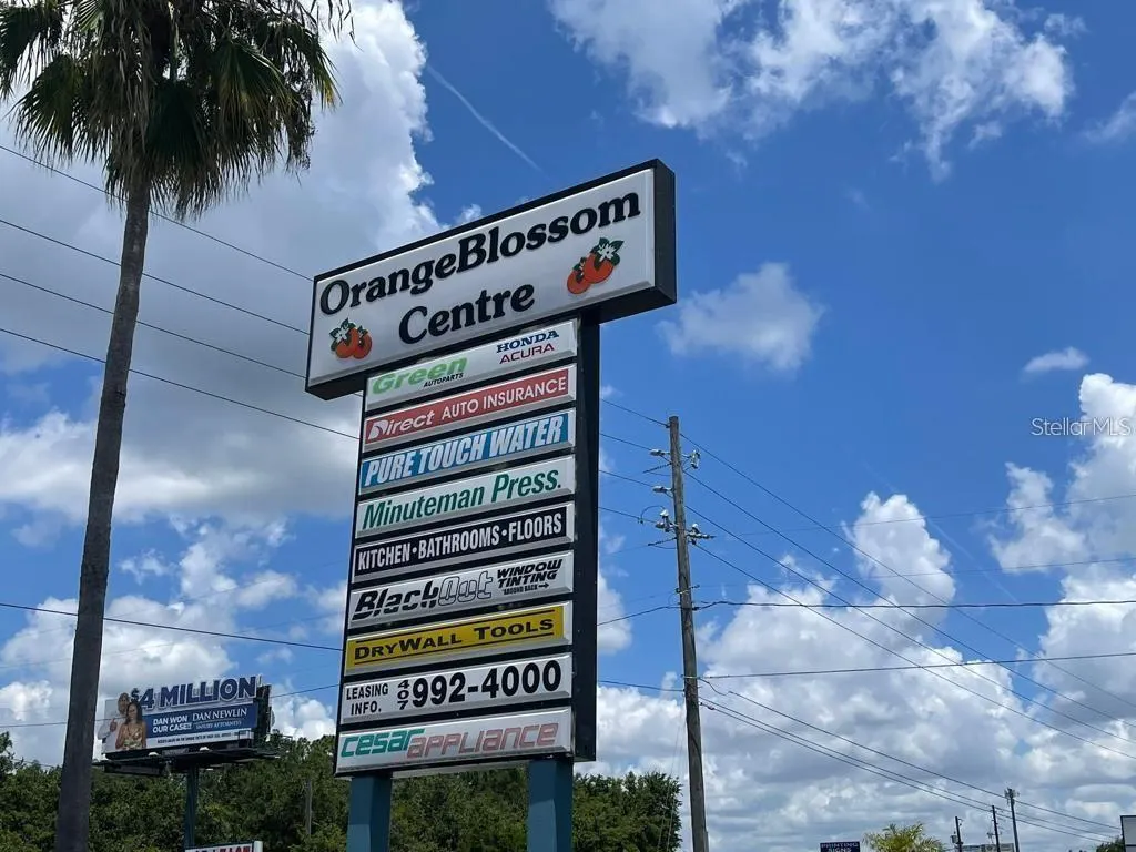 2585 ORANGE BLOSSOM