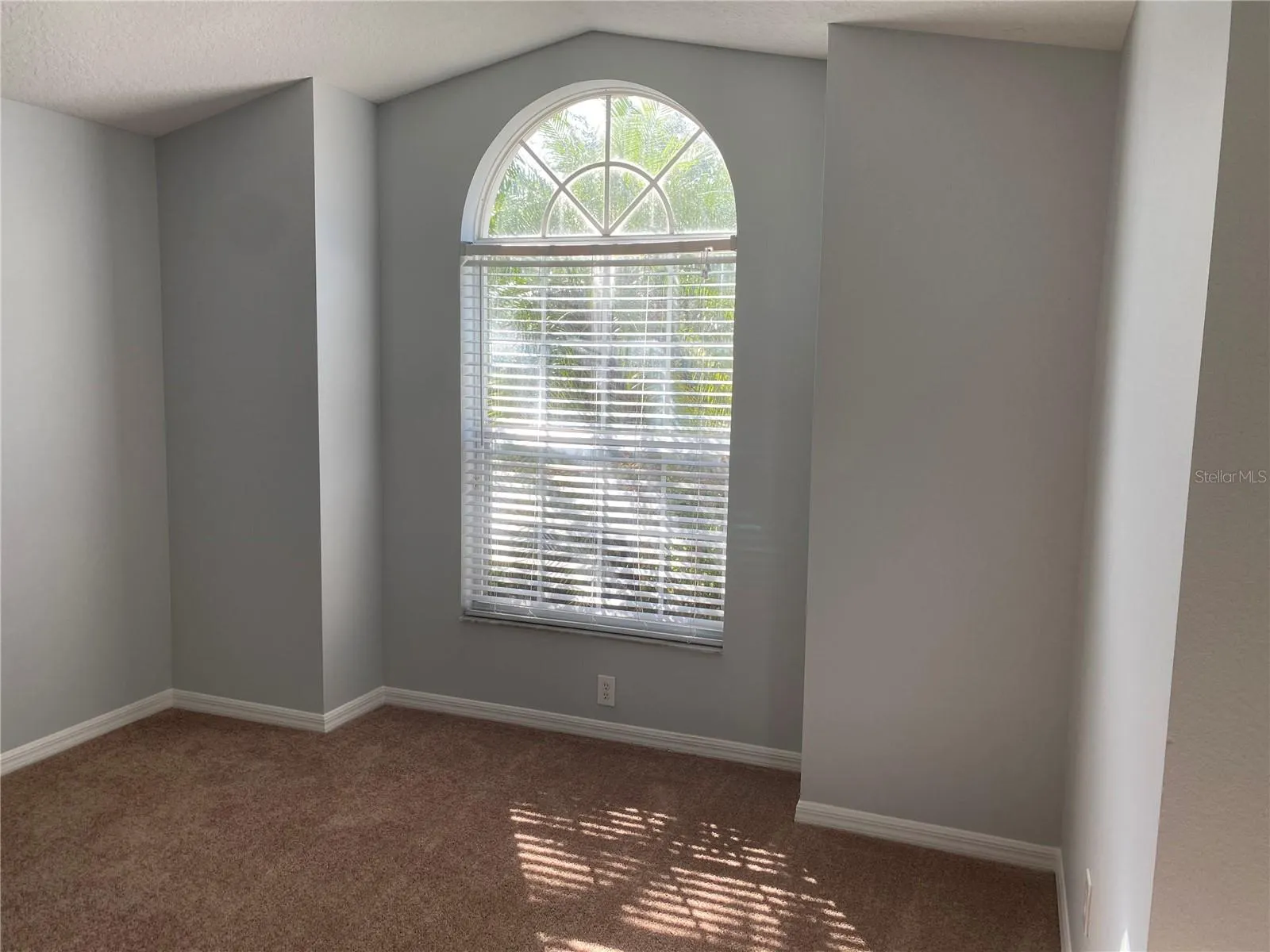 9804 PALMETTO DUNES CT