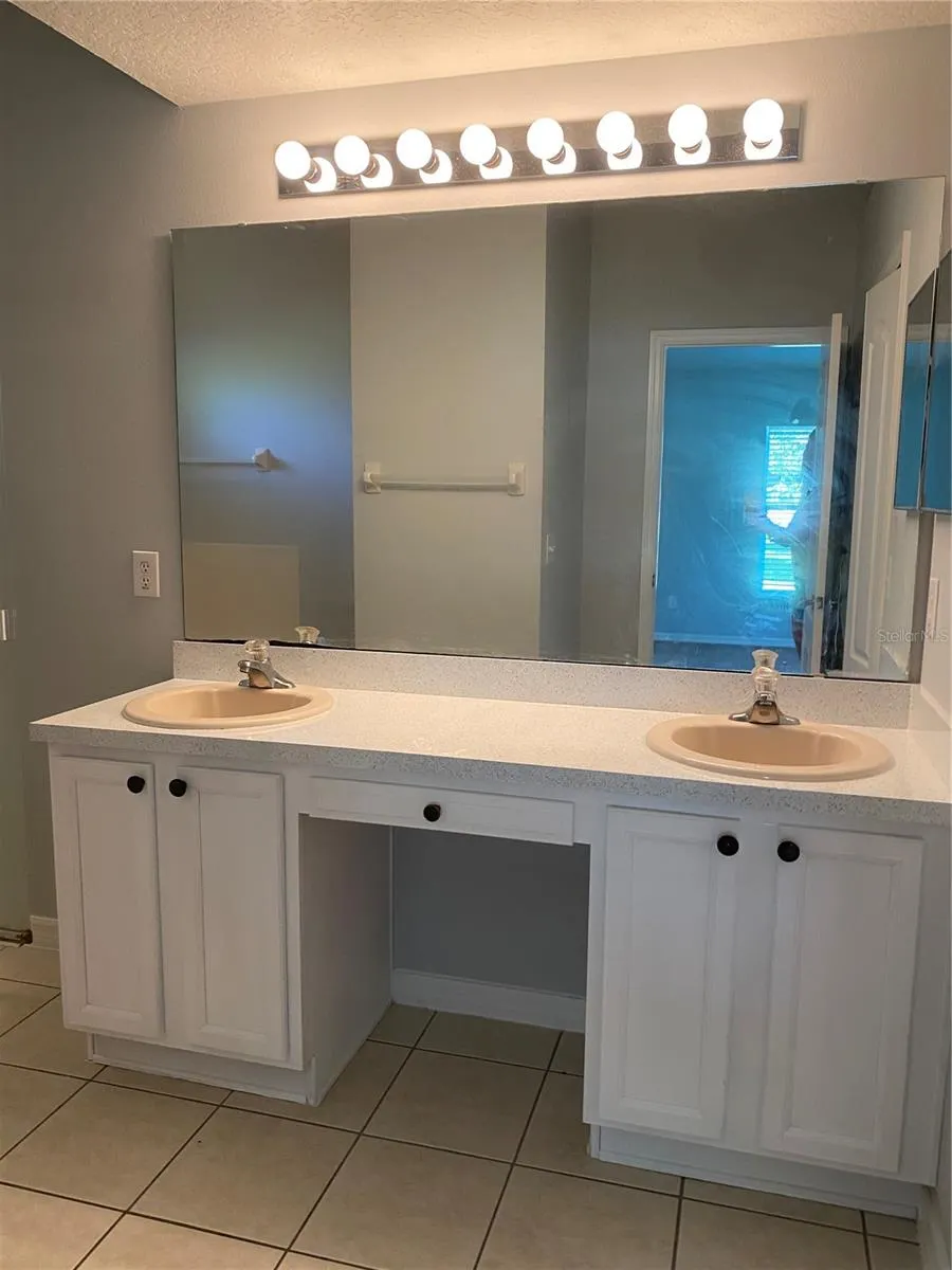 9804 PALMETTO DUNES CT