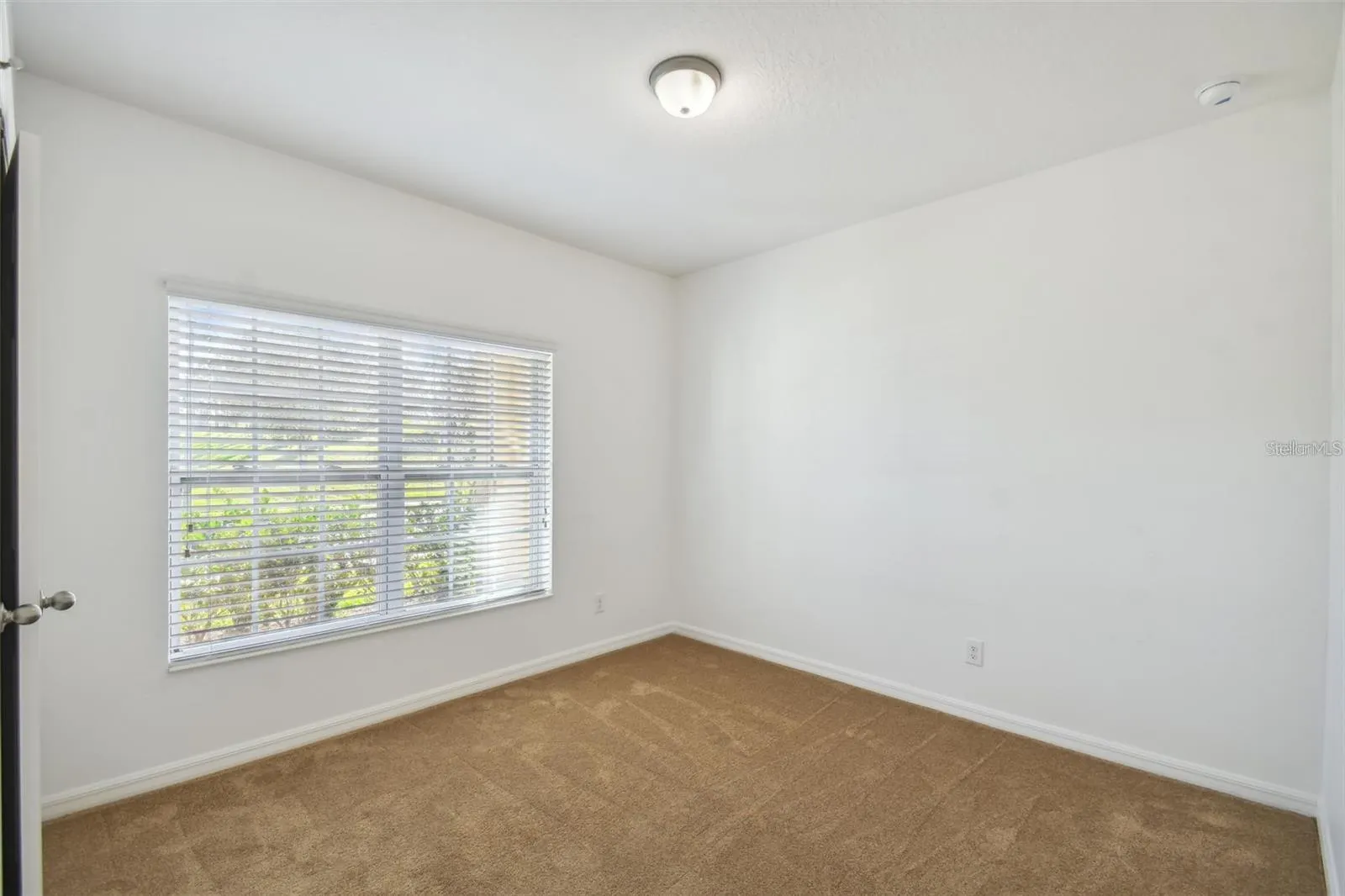 129 WILLIAMSON DR