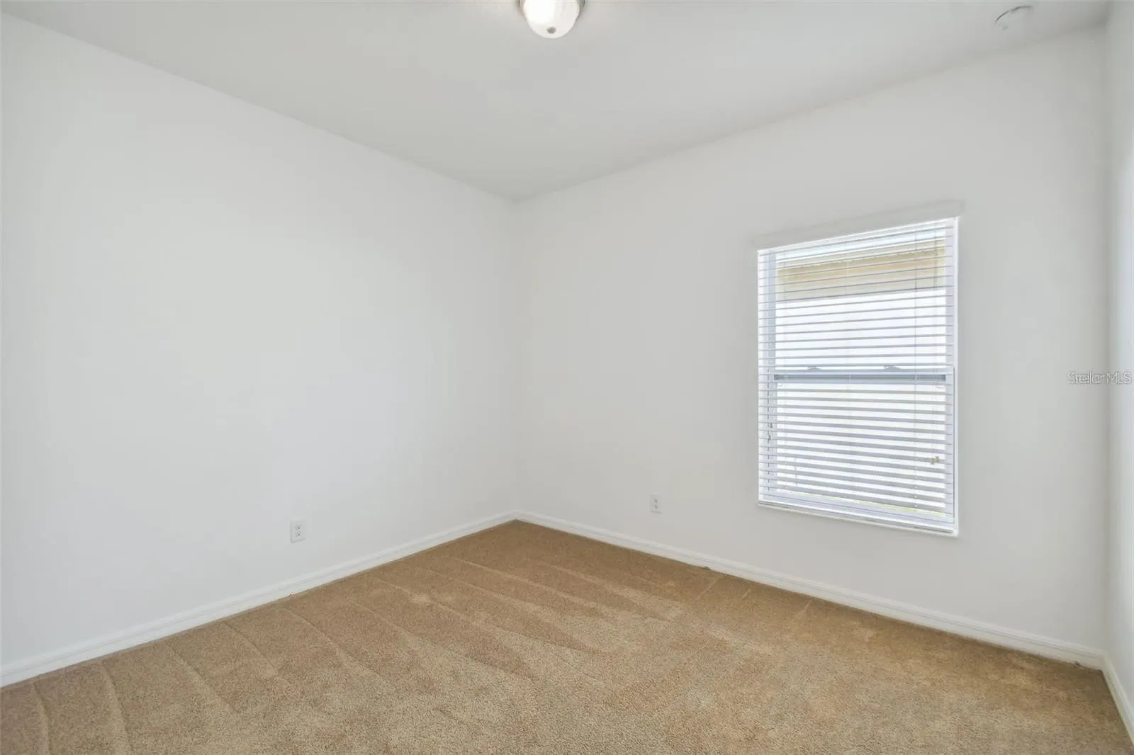 129 WILLIAMSON DR
