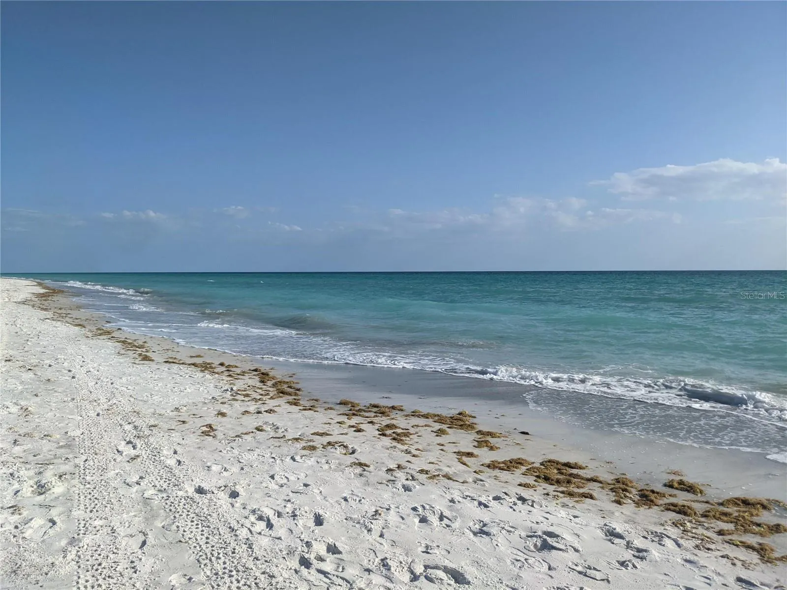 3806 GULF OF MEXICO DR #C208, #C208