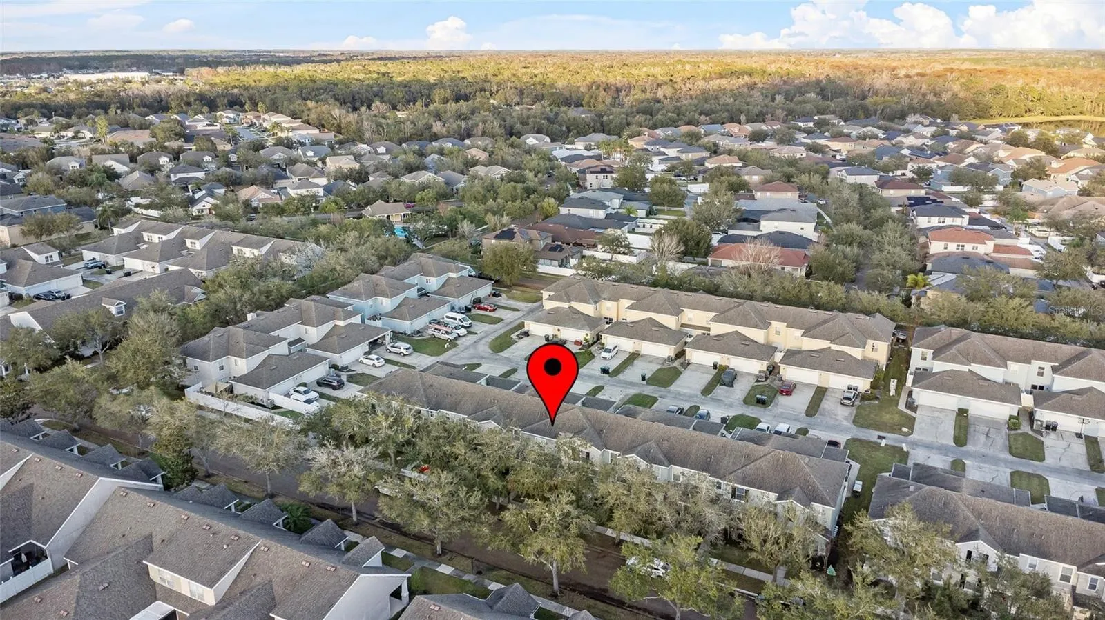 2163 GLOSSY PRIVET DR