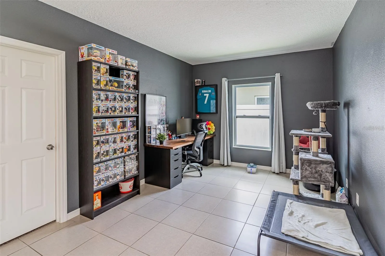283 WILLIAMSON DR